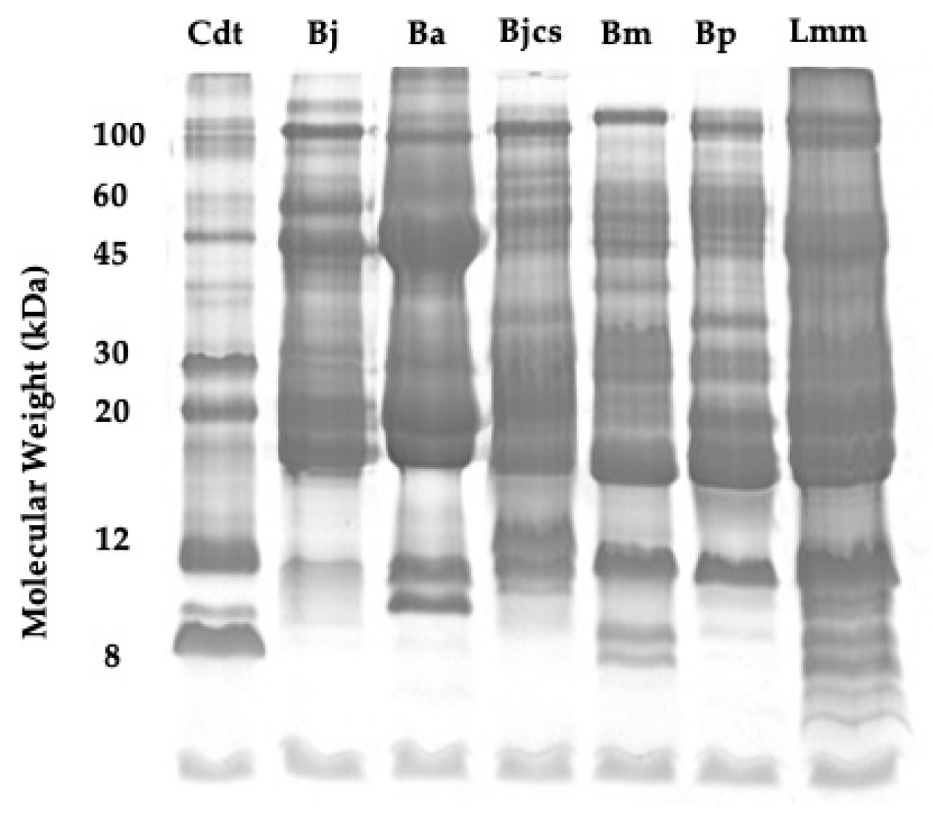 Toxins 15 00648 g001