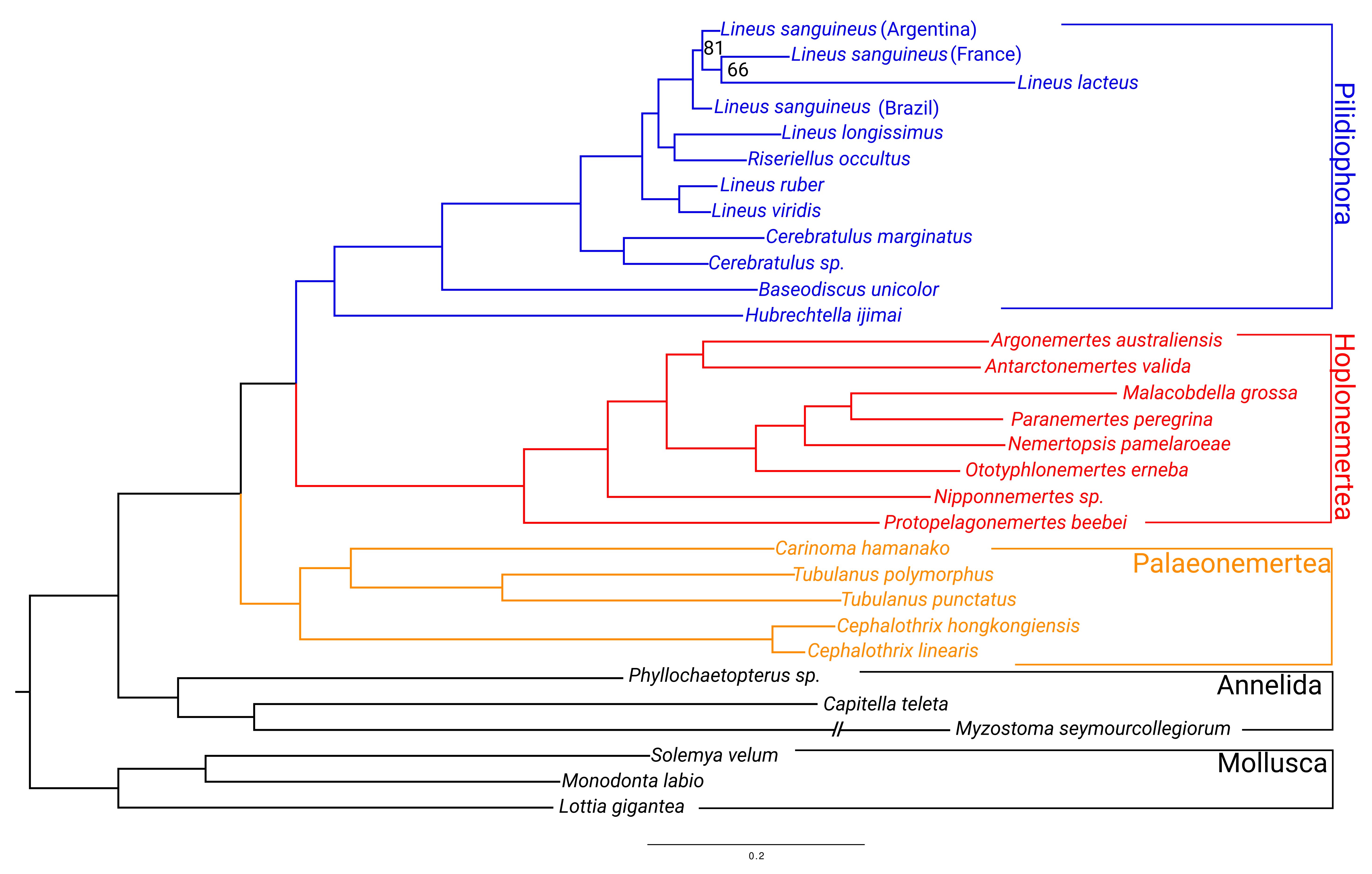 Toxins 15 00650 g001 Toxins 15 00650 g001