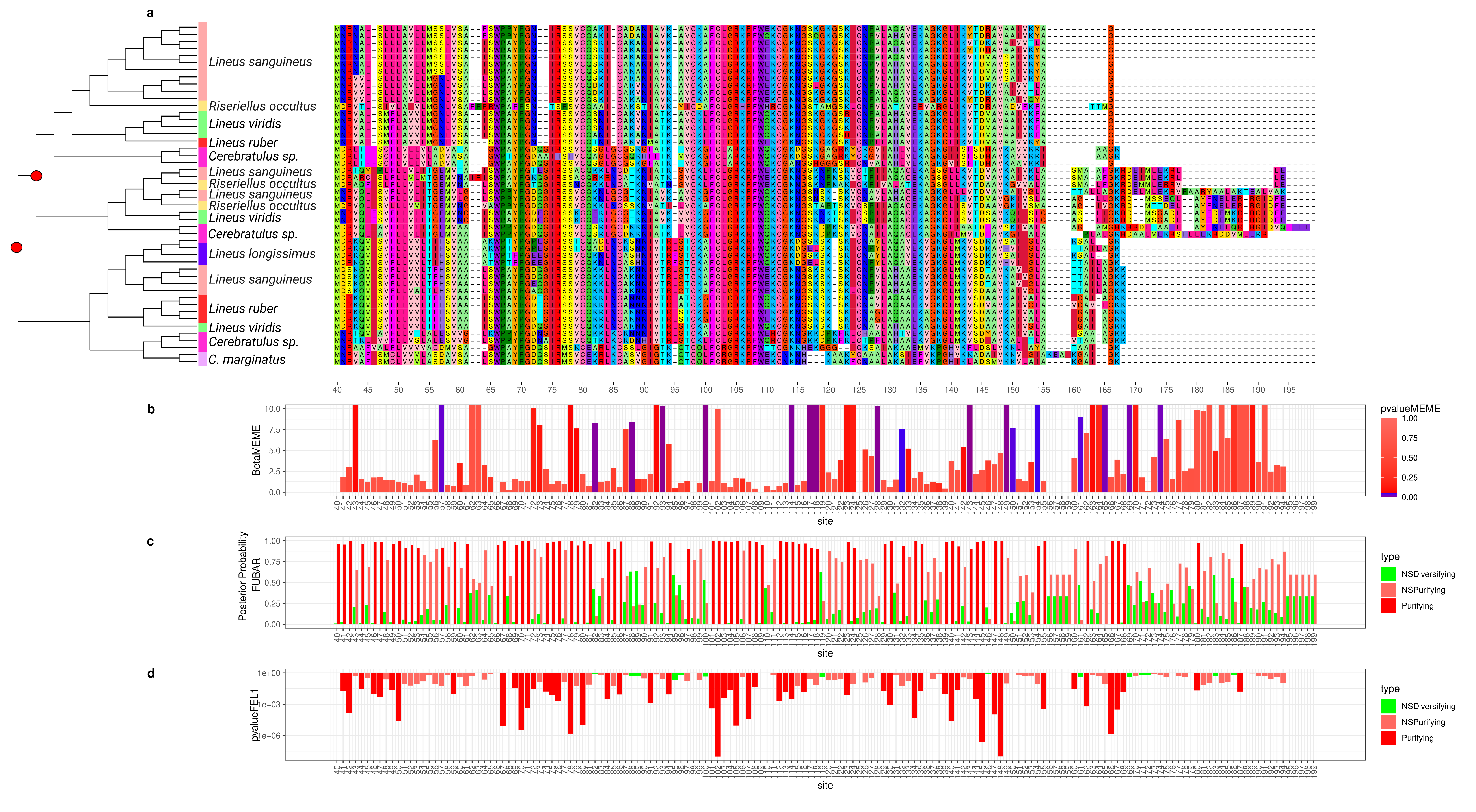 Toxins 15 00650 g002 Toxins 15 00650 g002