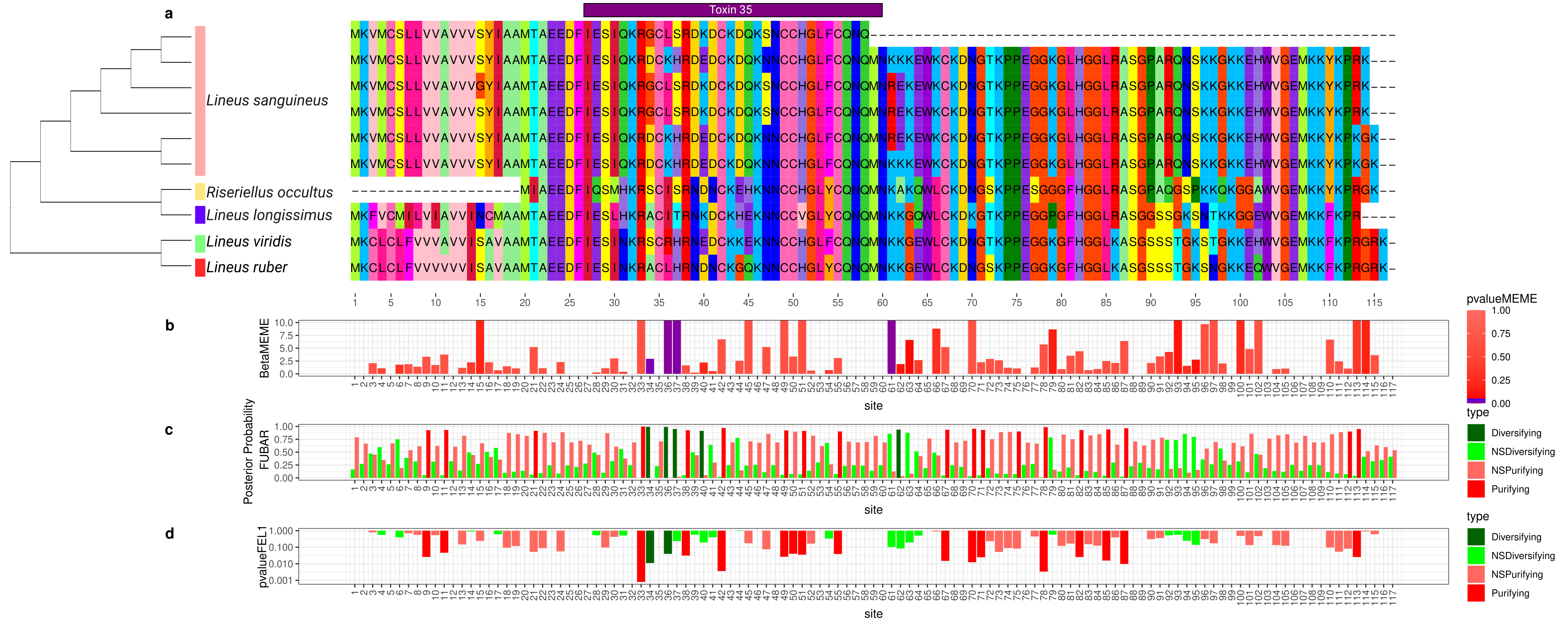 Toxins 15 00650 g006 Toxins 15 00650 g006