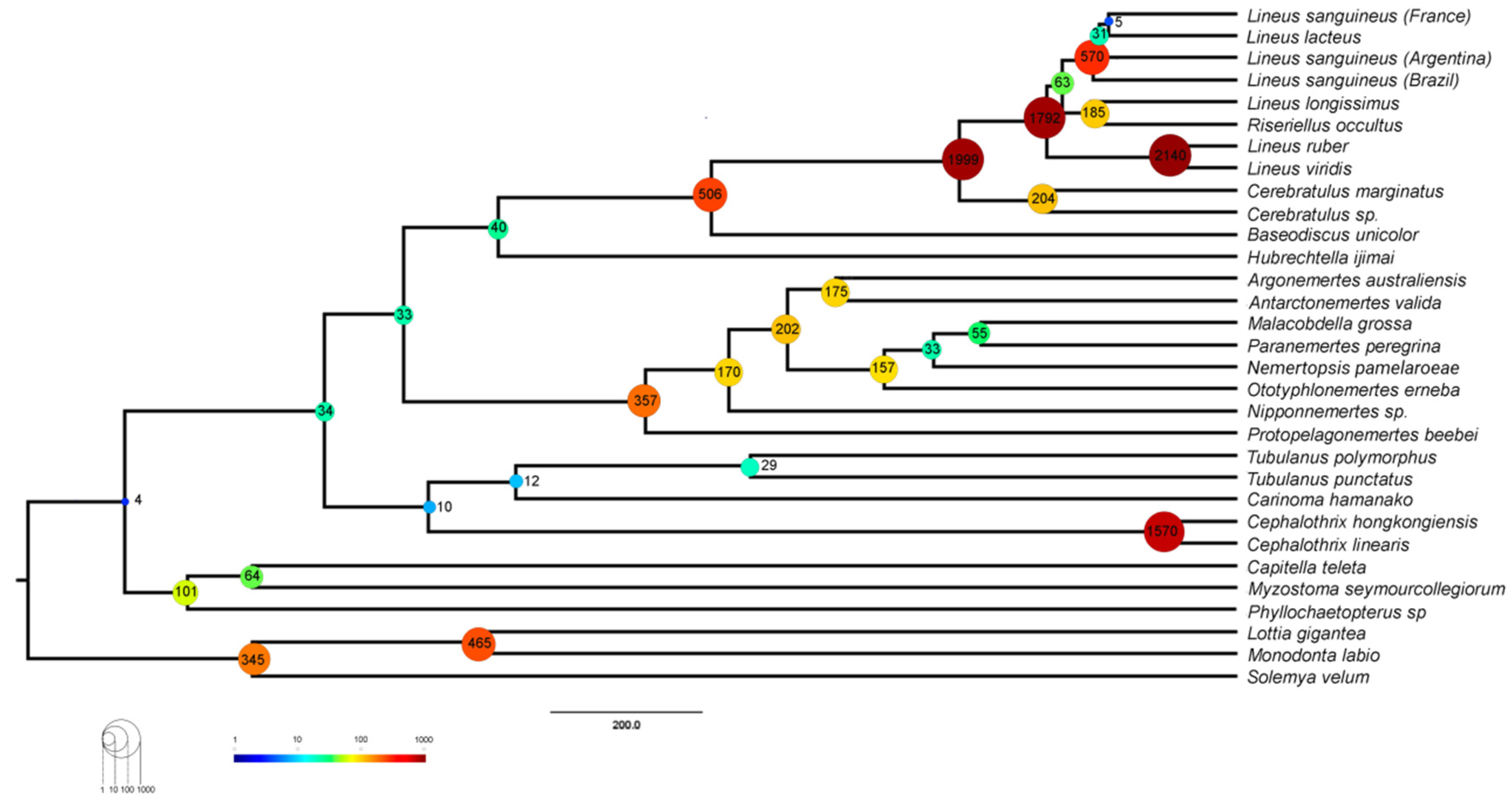 Toxins 15 00650 g008 Toxins 15 00650 g008