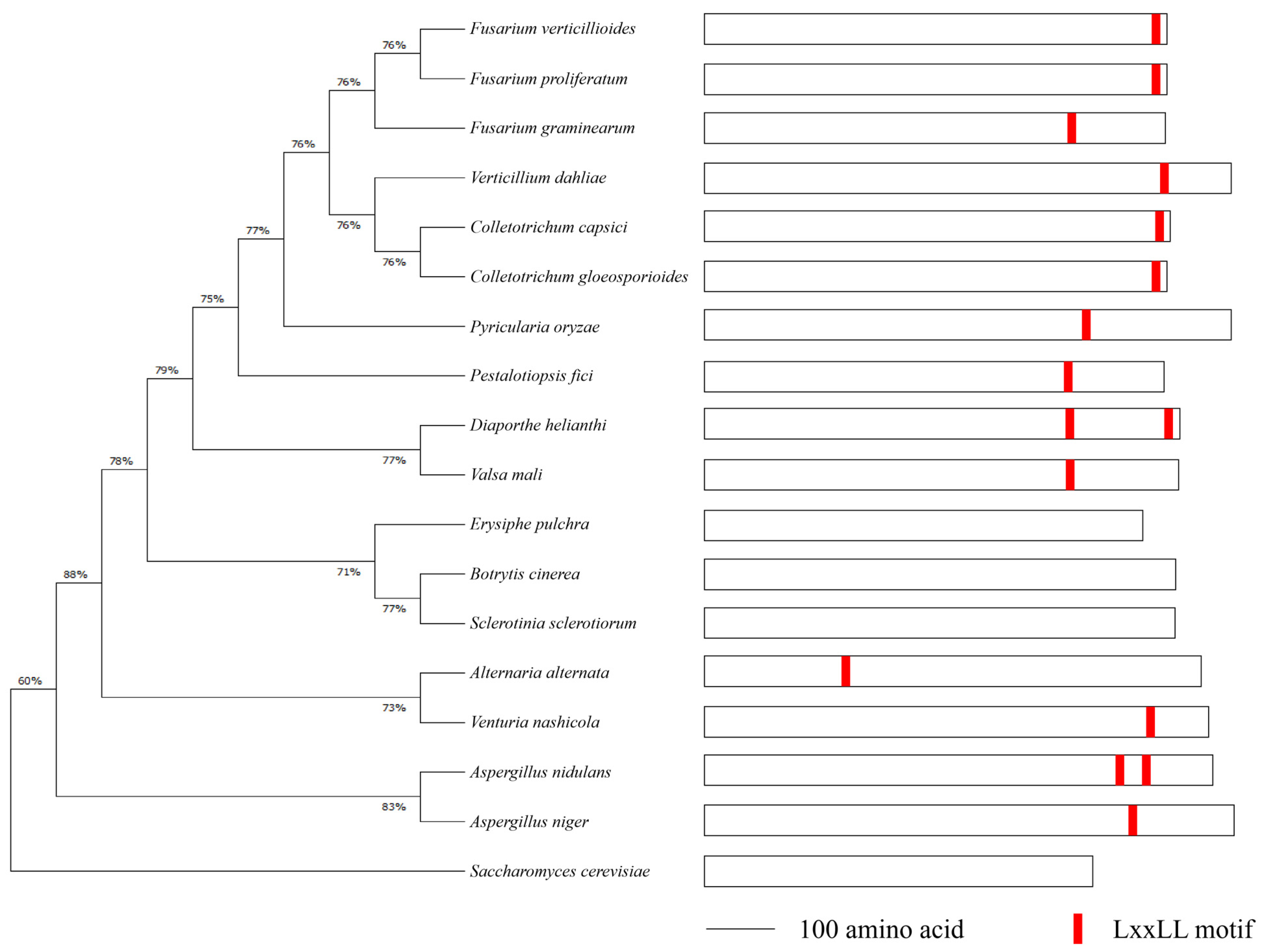 Toxins 15 00652 g001 Toxins 15 00652 g001