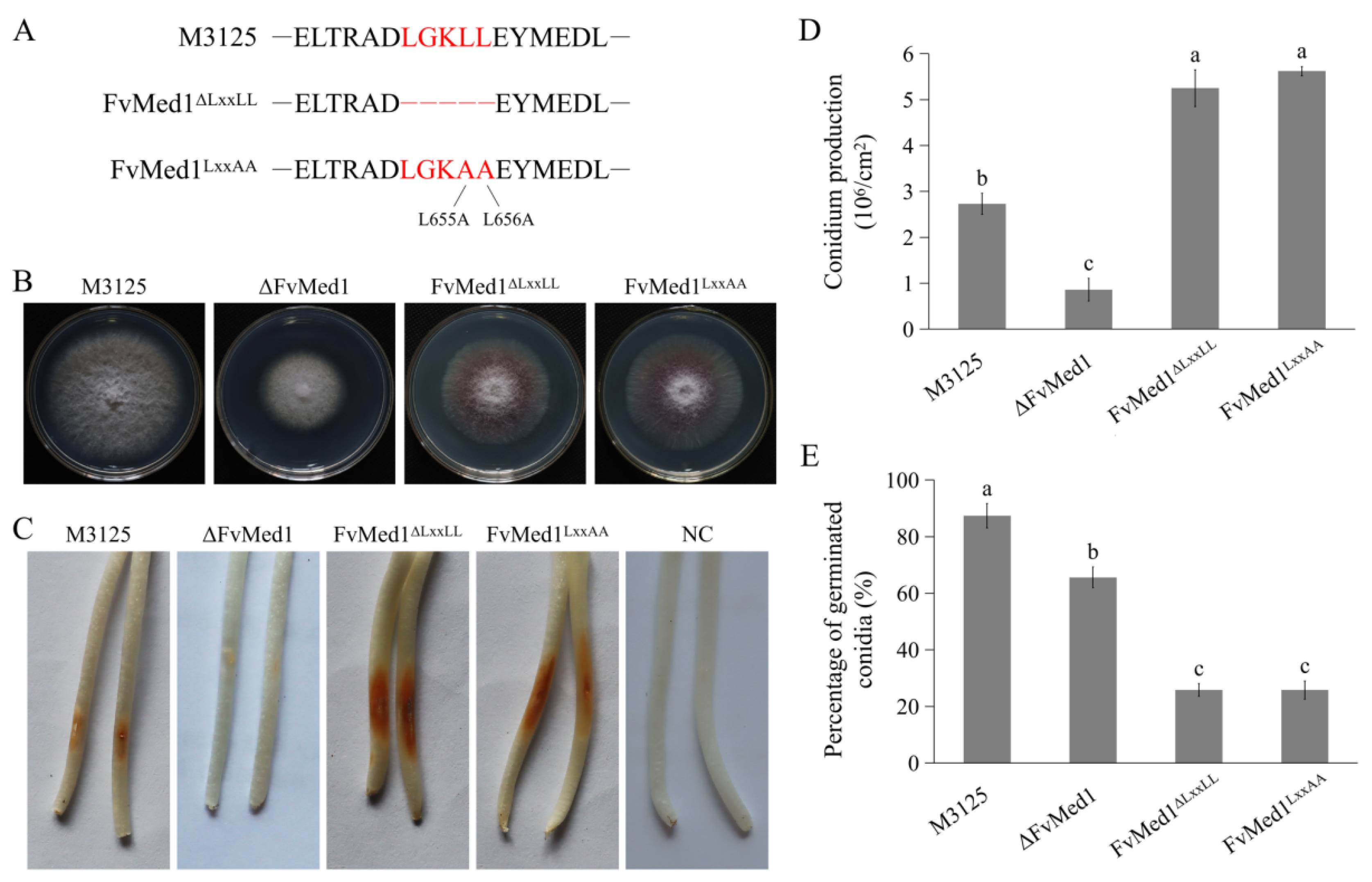 Toxins 15 00652 g002 Toxins 15 00652 g002