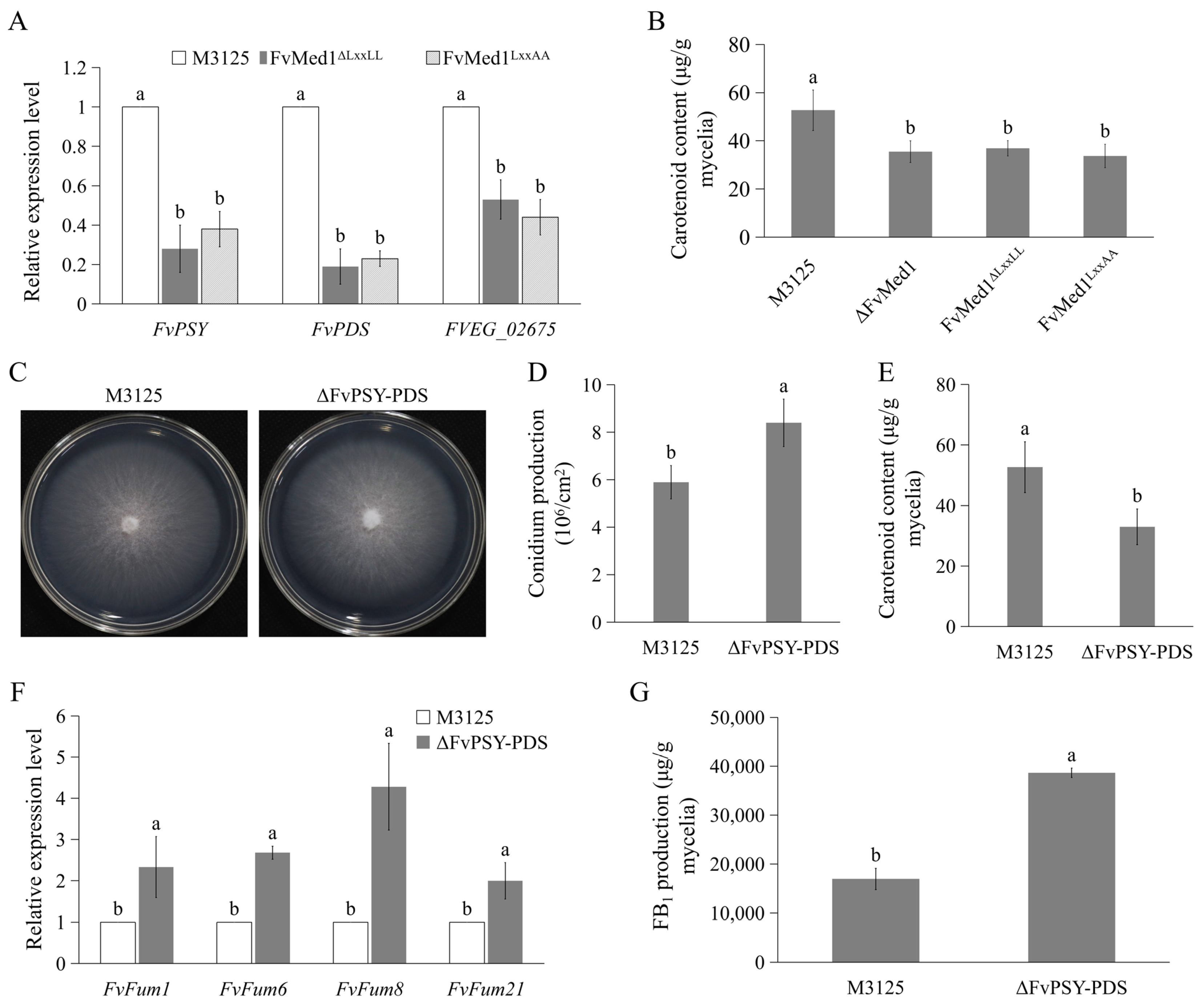 Toxins 15 00652 g007 Toxins 15 00652 g007