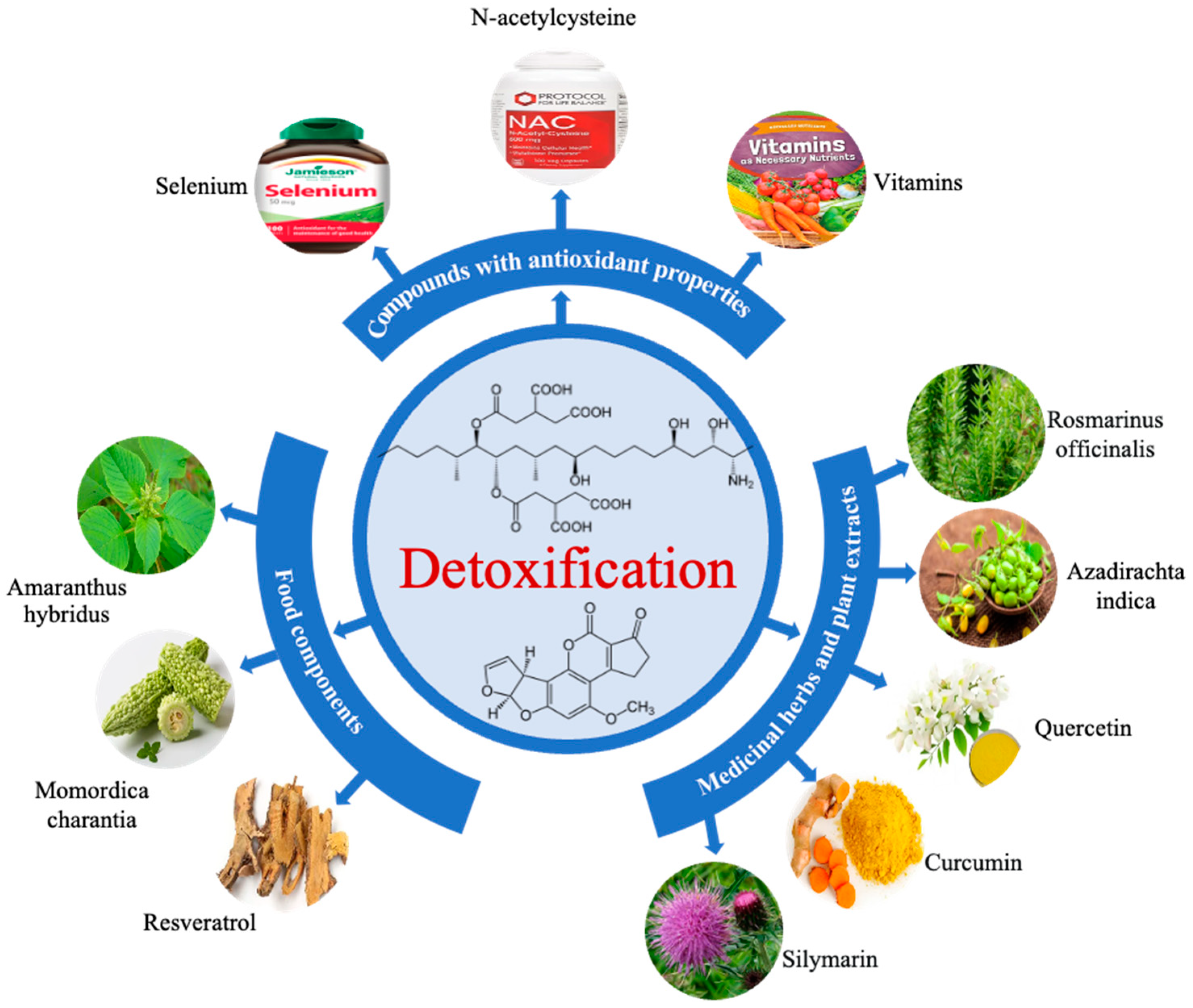 Toxins 15 00653 g004