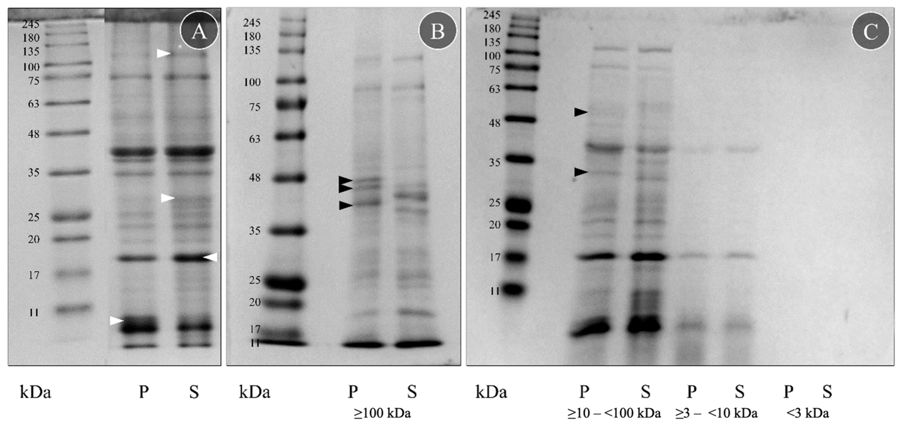 Toxins 15 00655 g001