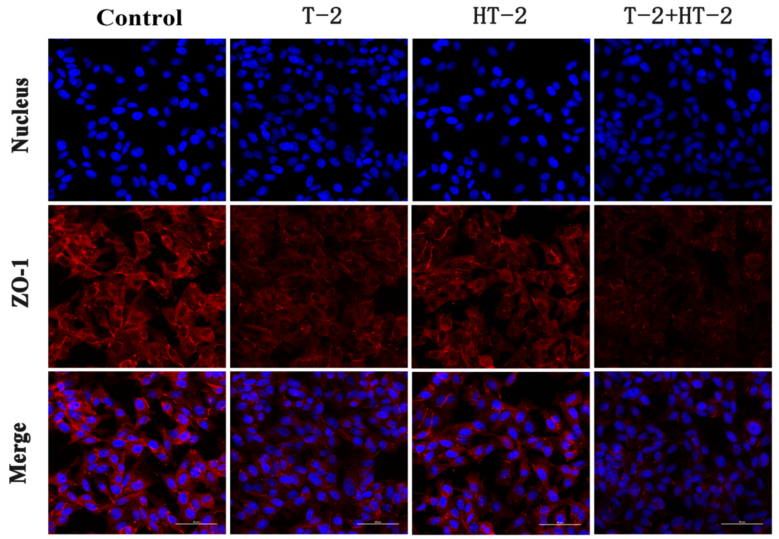 Toxins 15 00682 g004