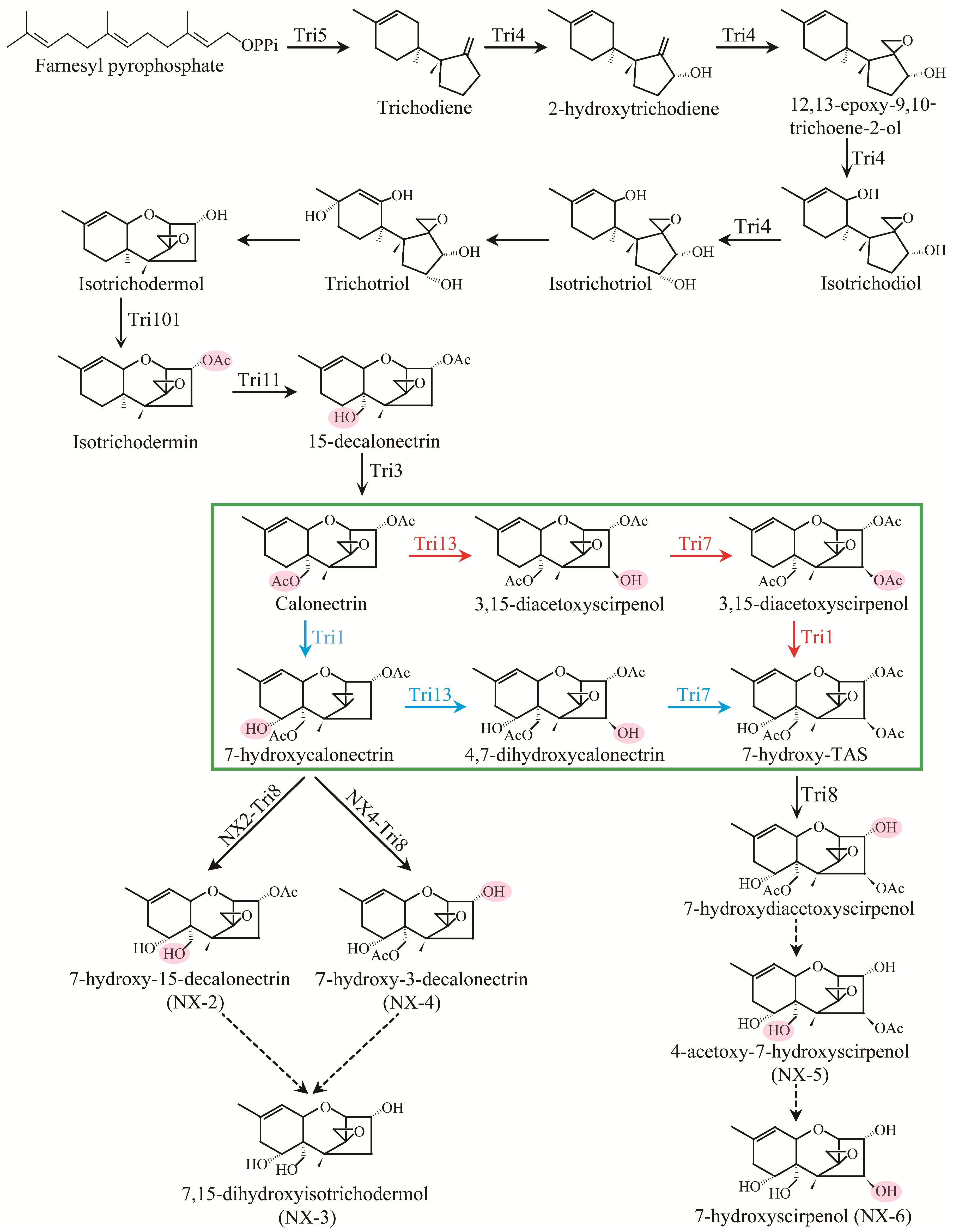 Toxins 15 00692 g006