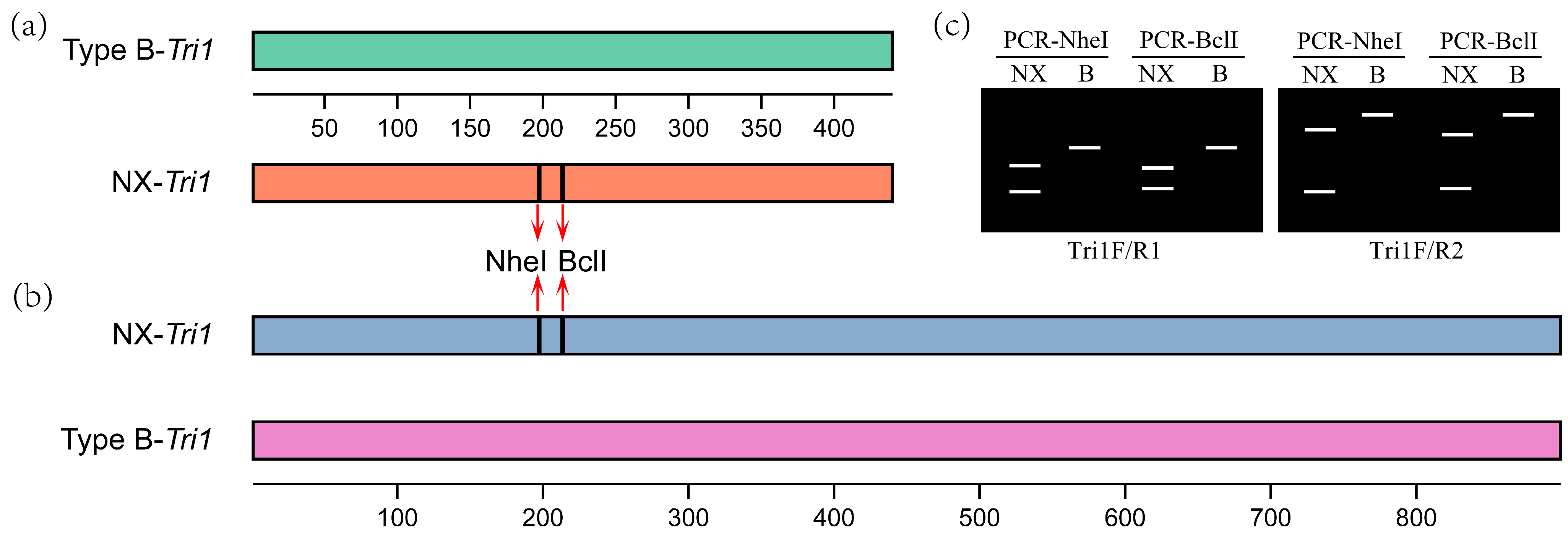 Toxins 15 00692 g007