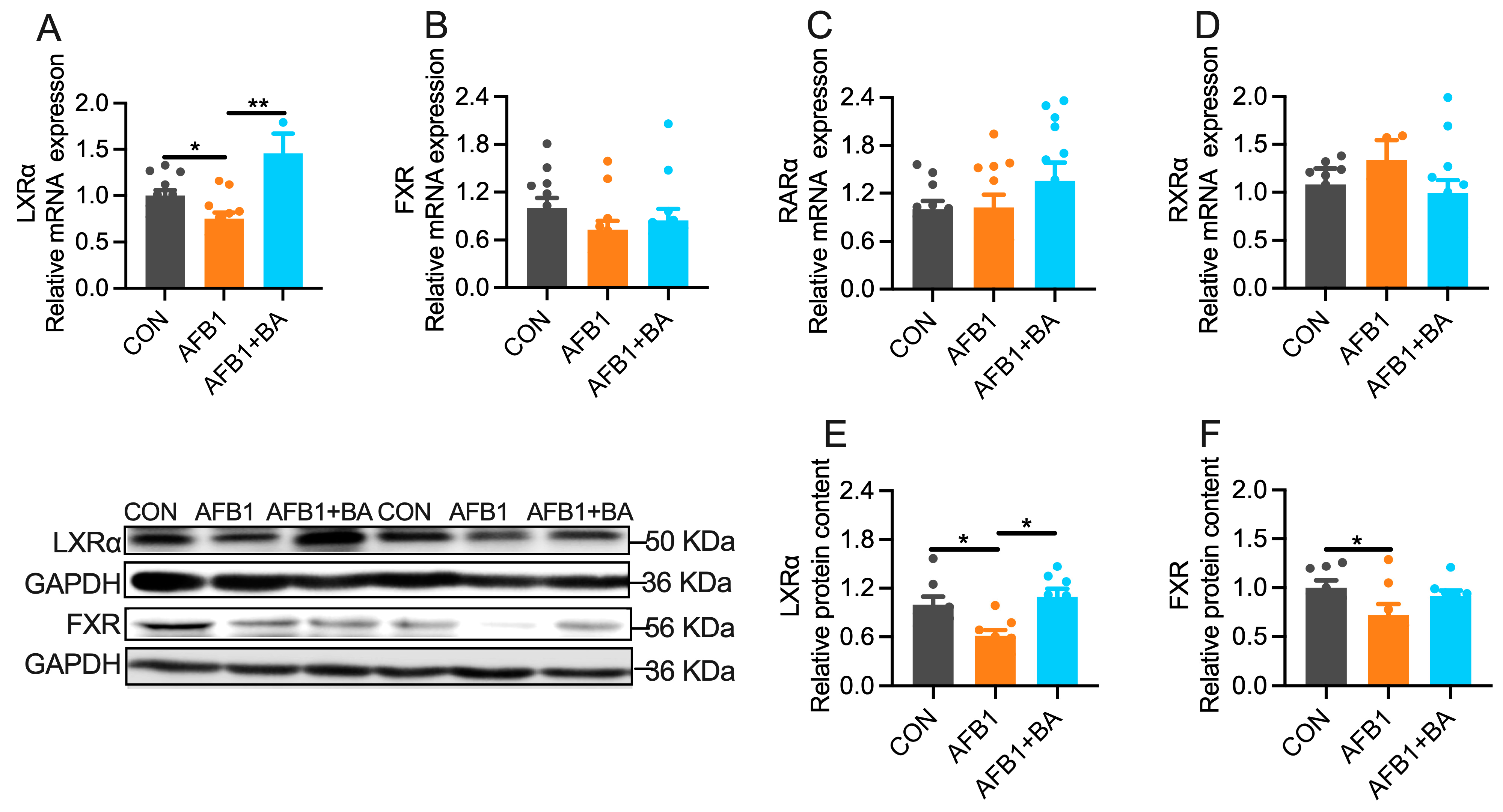 Toxins 15 00694 g005