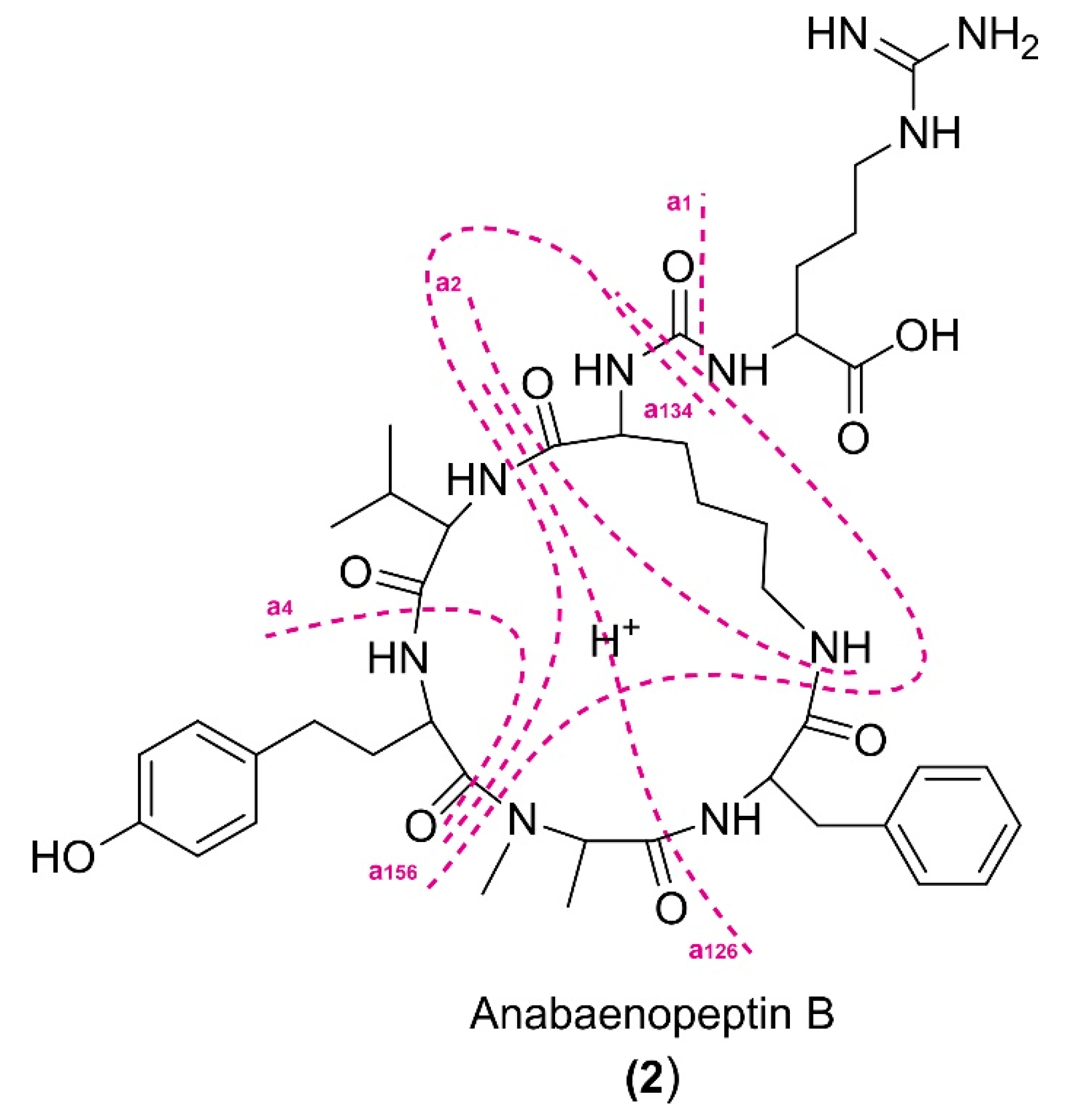 Toxins 15 00698 g008