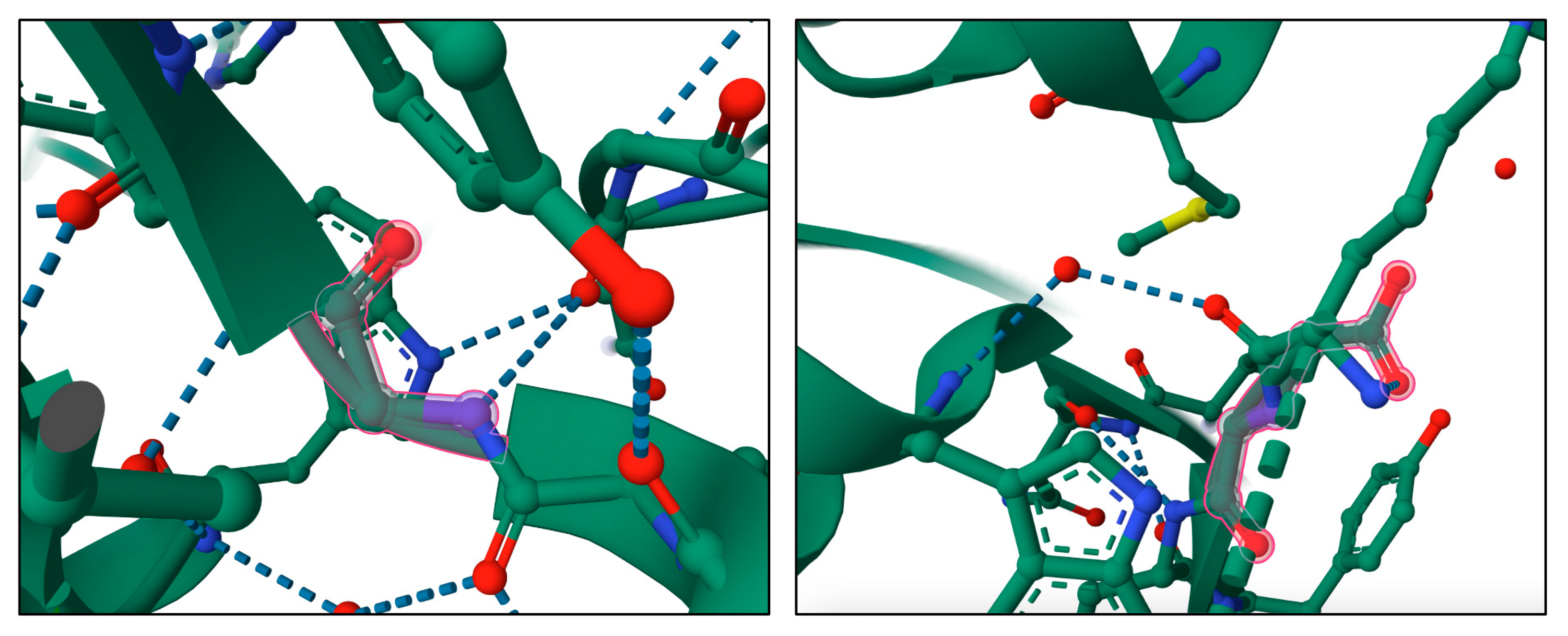 Toxins 15 00699 g002 Toxins 15 00699 g002