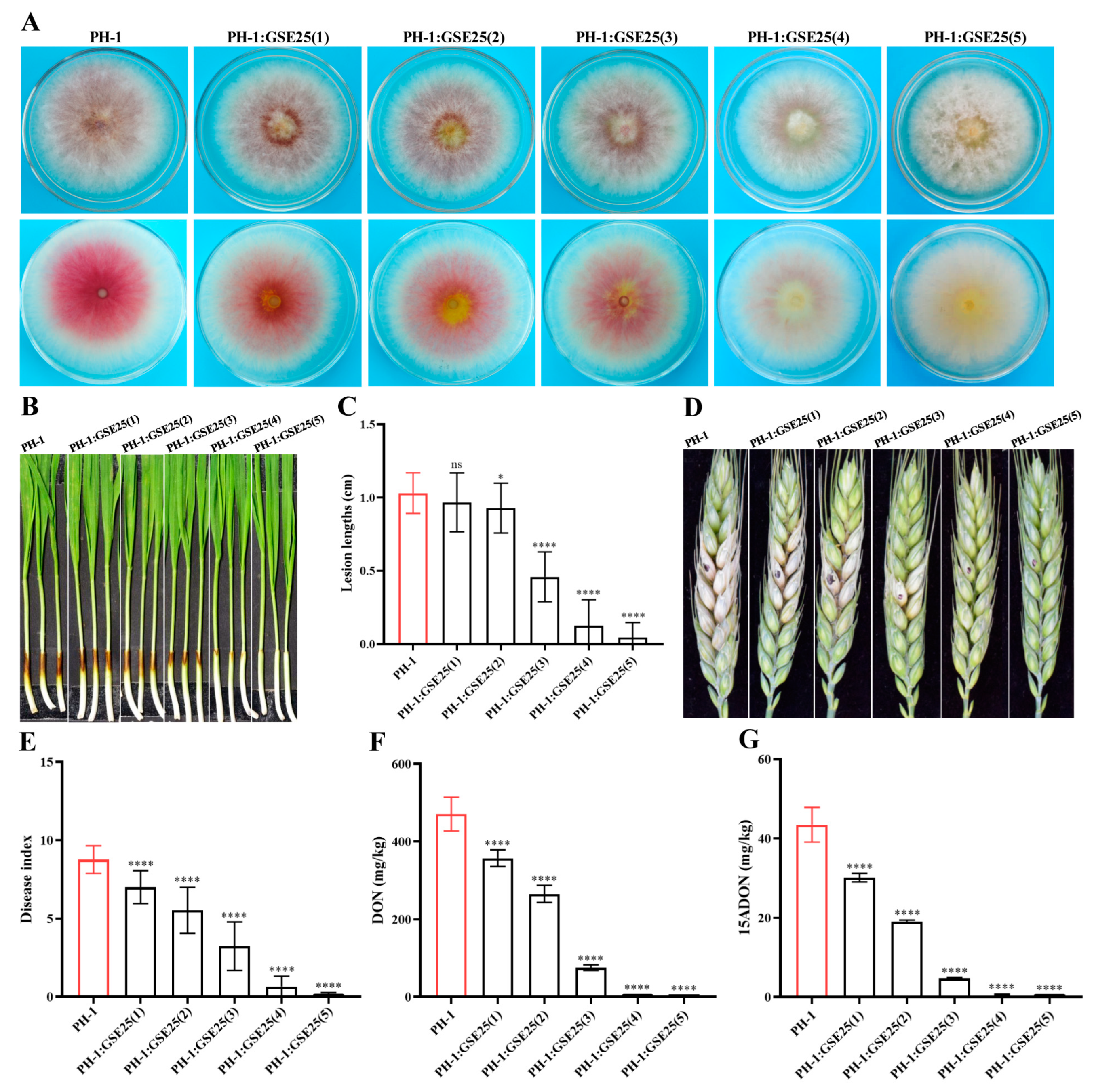 Toxins 15 00702 g001