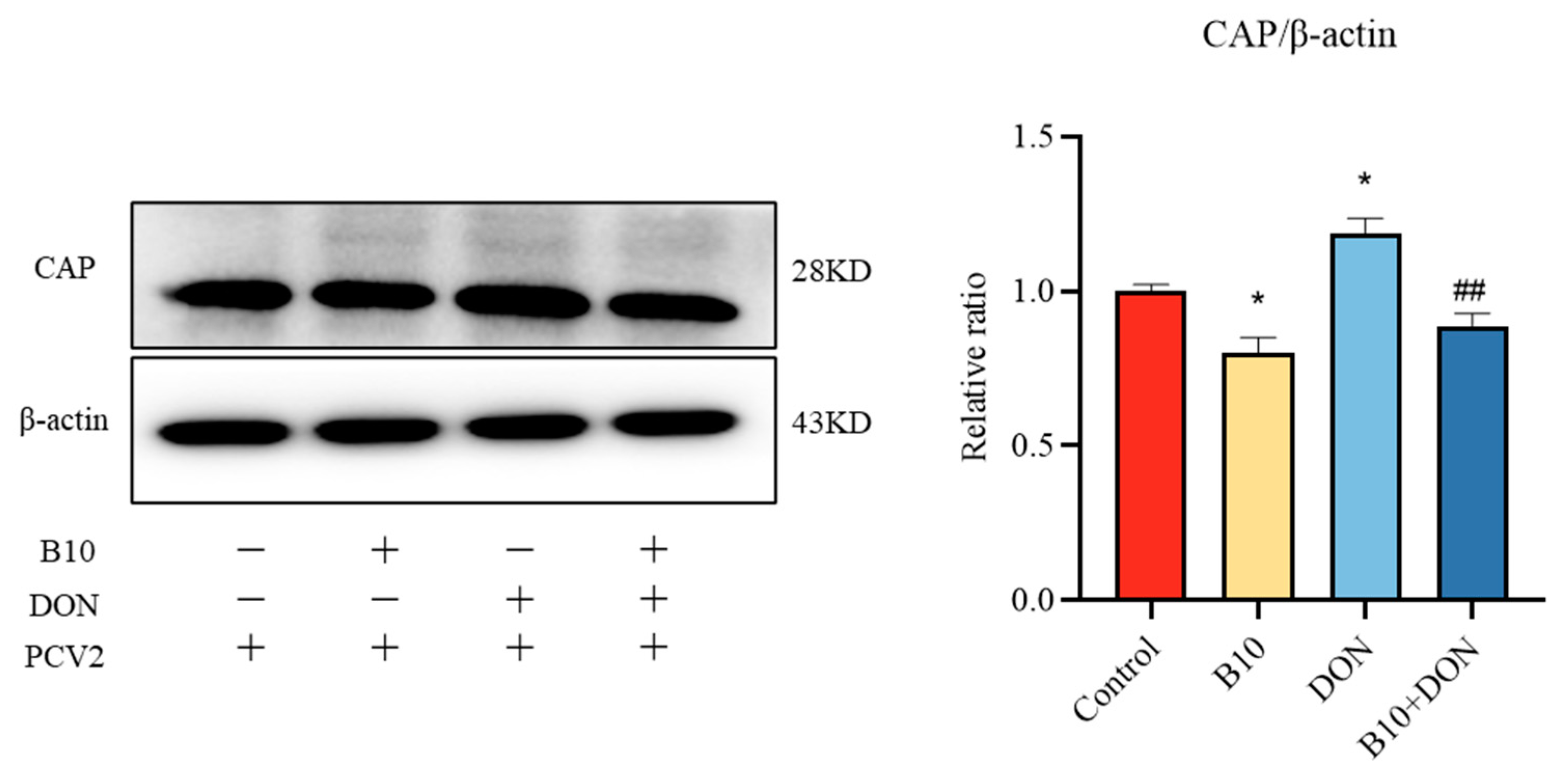 Toxins 16 00014 g003