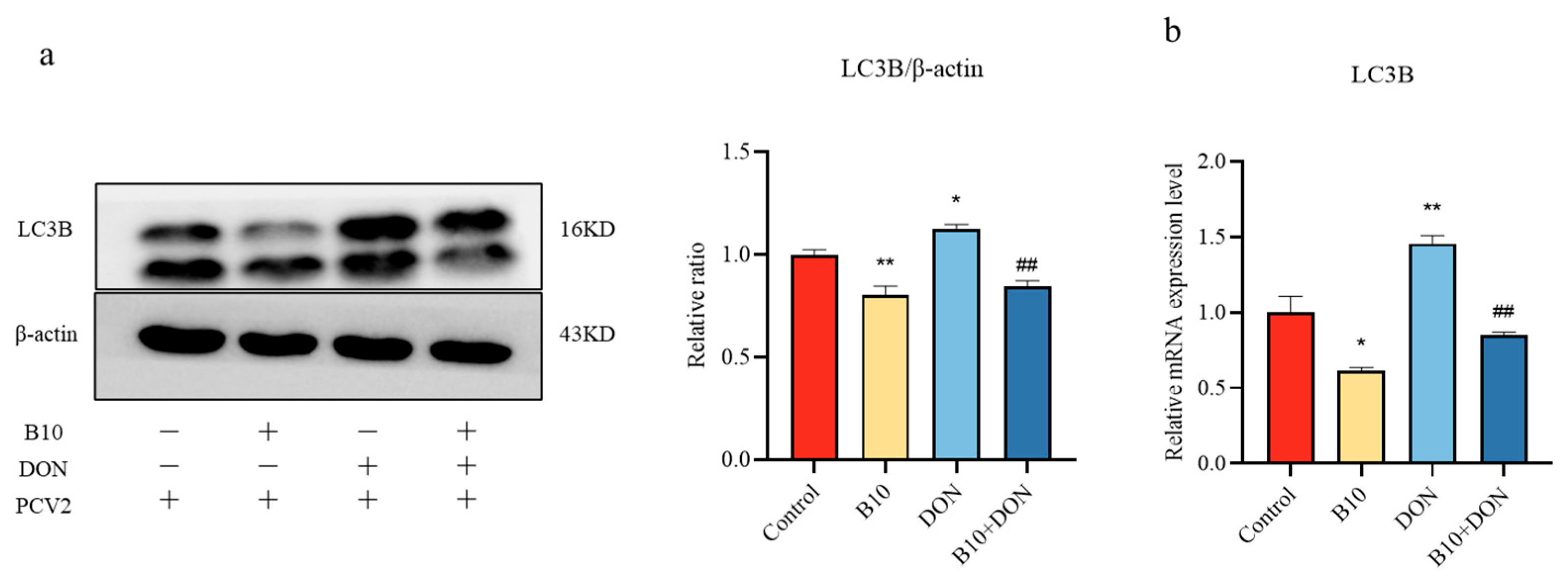 Toxins 16 00014 g004