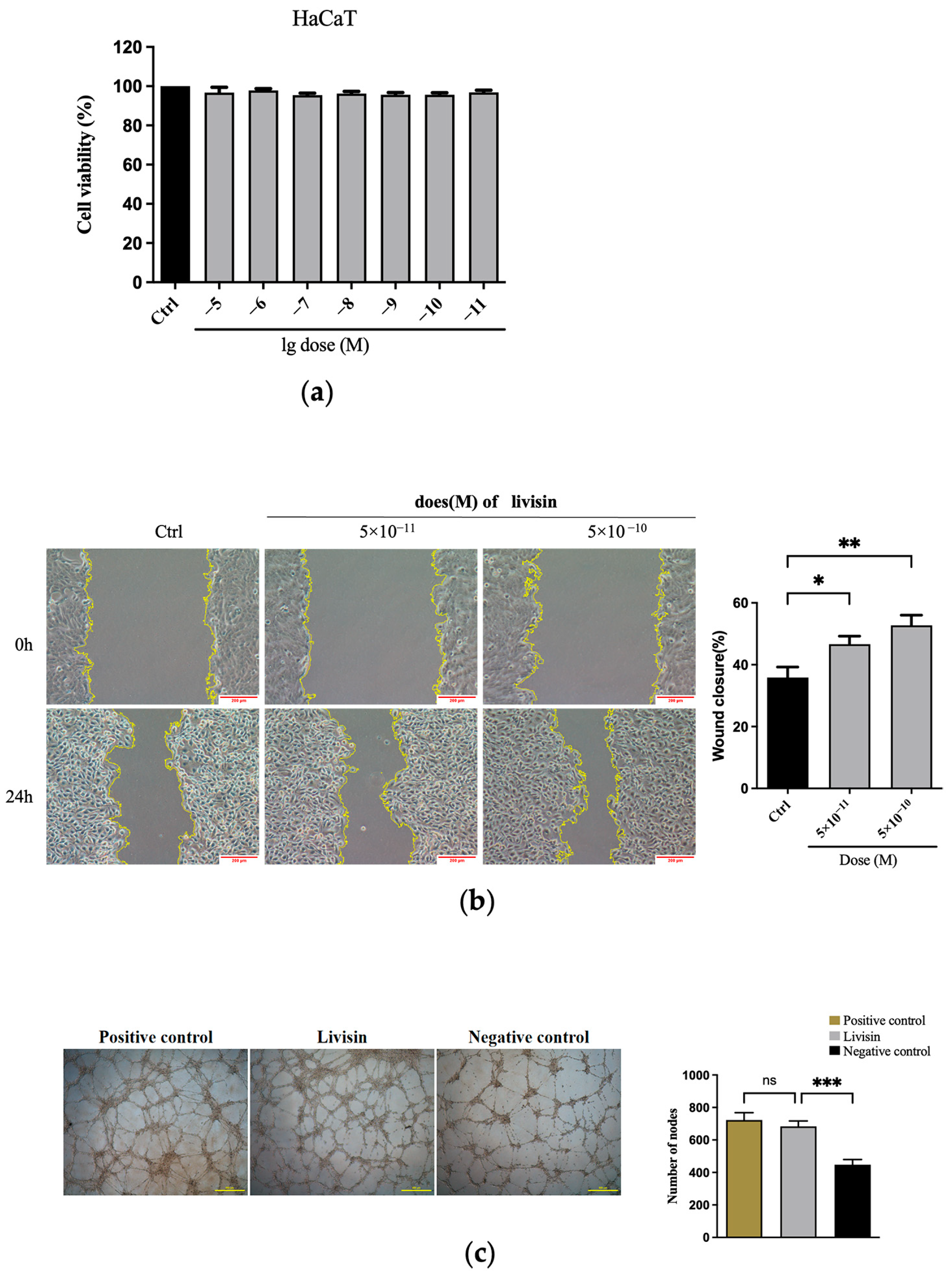 Toxins 16 00021 g001