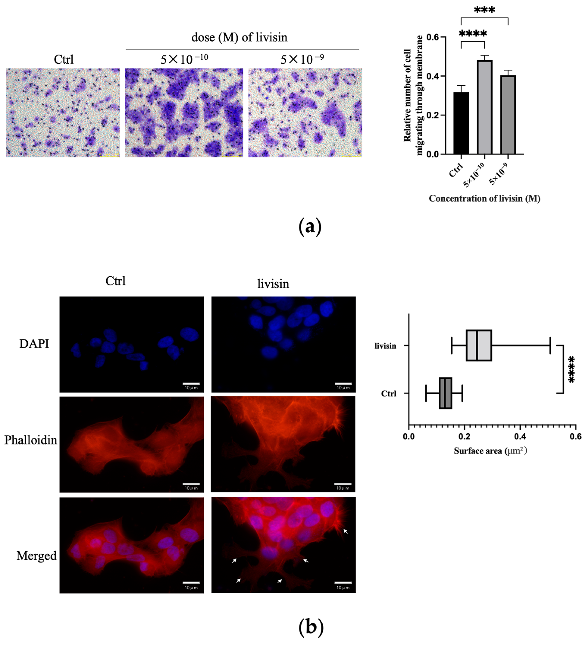 Toxins 16 00021 g002
