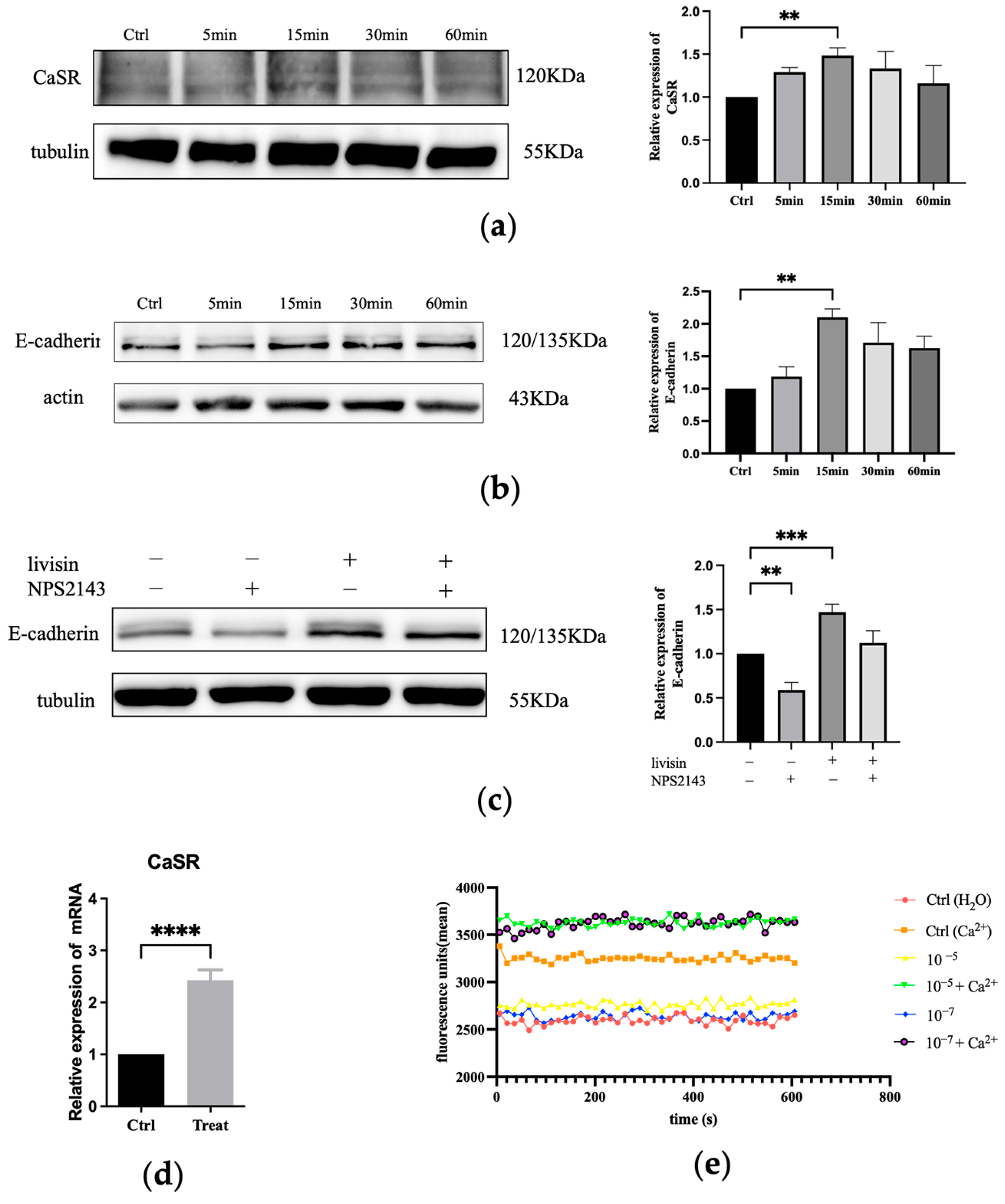 Toxins 16 00021 g003