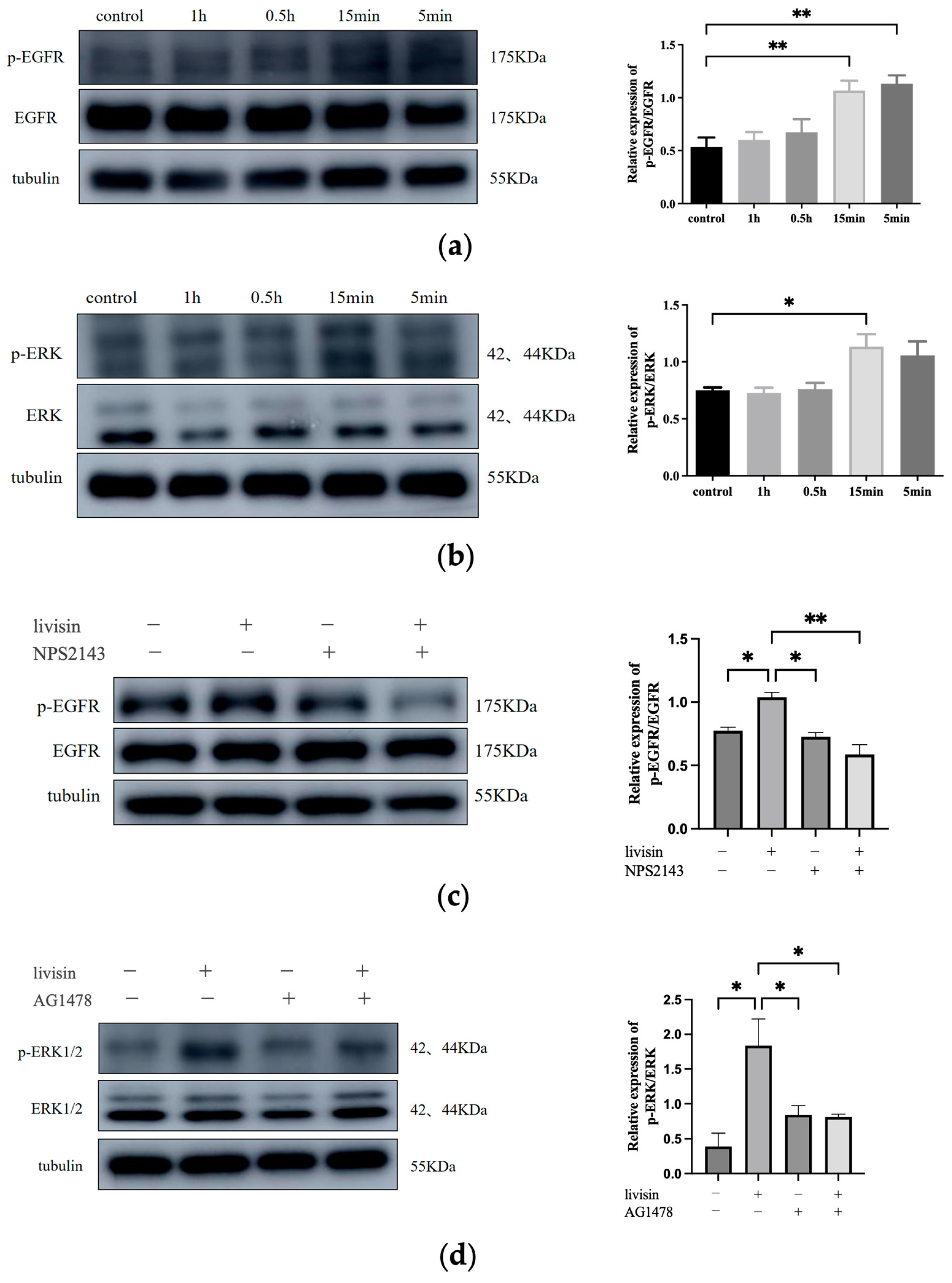 Toxins 16 00021 g004
