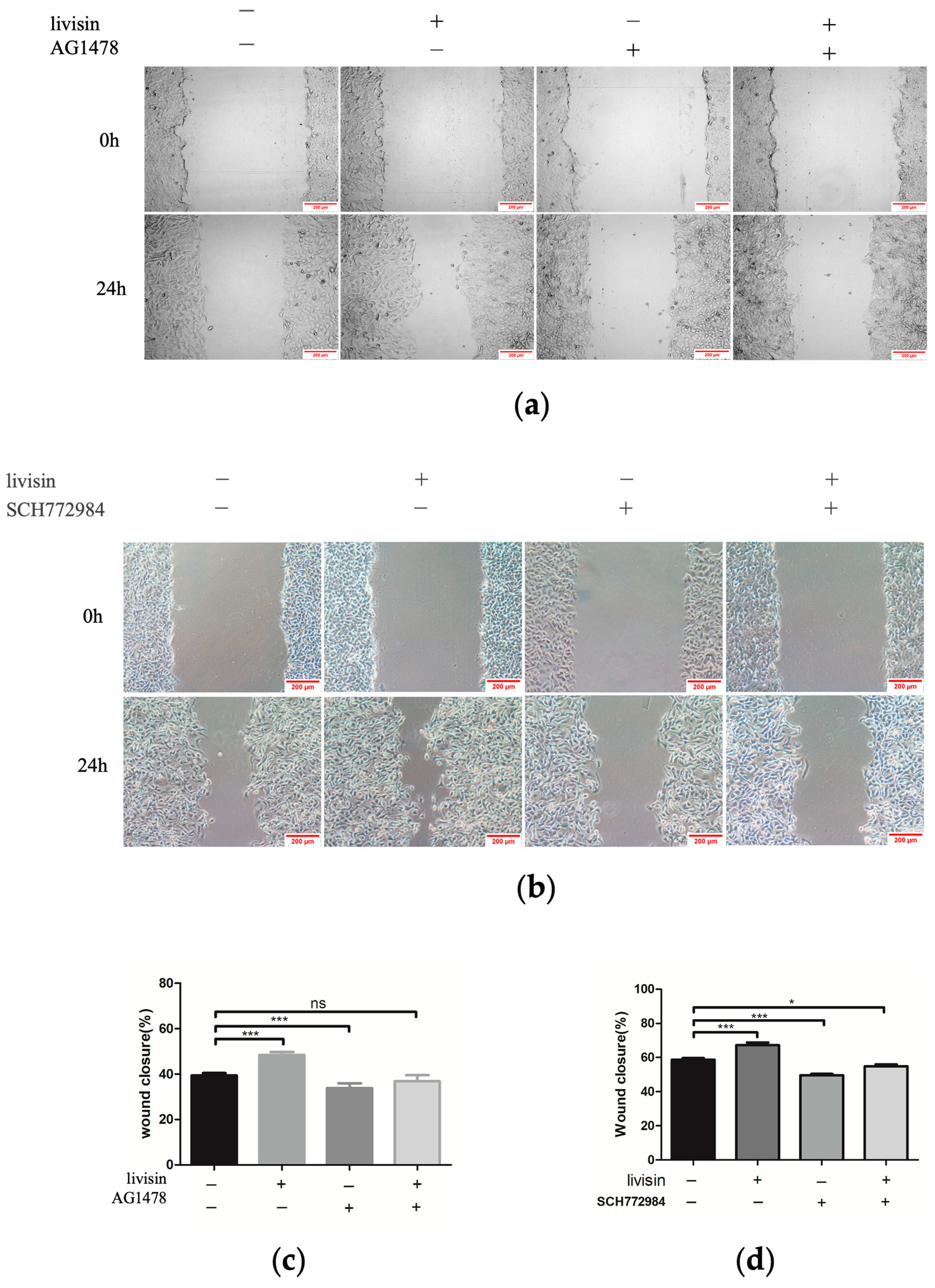 Toxins 16 00021 g005