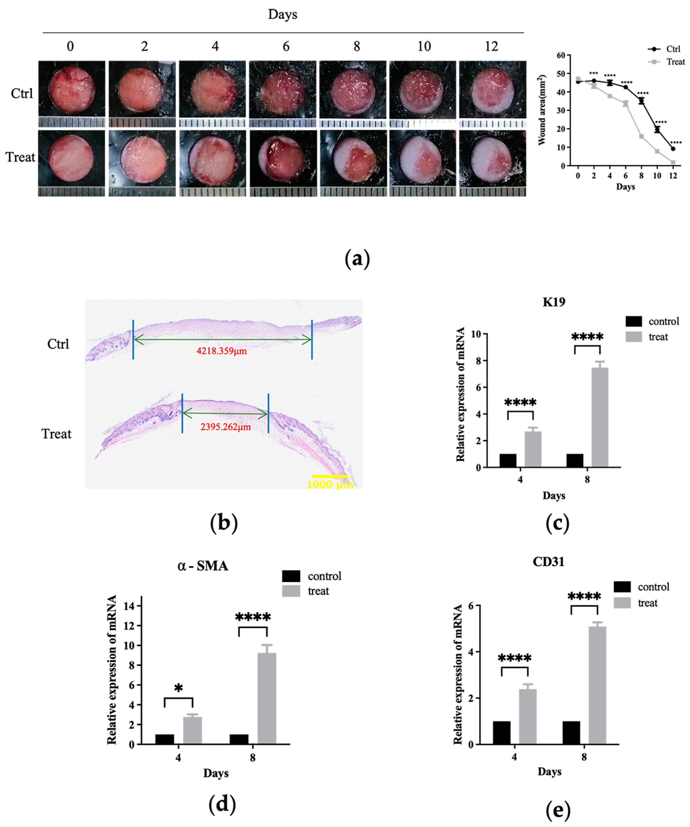 Toxins 16 00021 g006