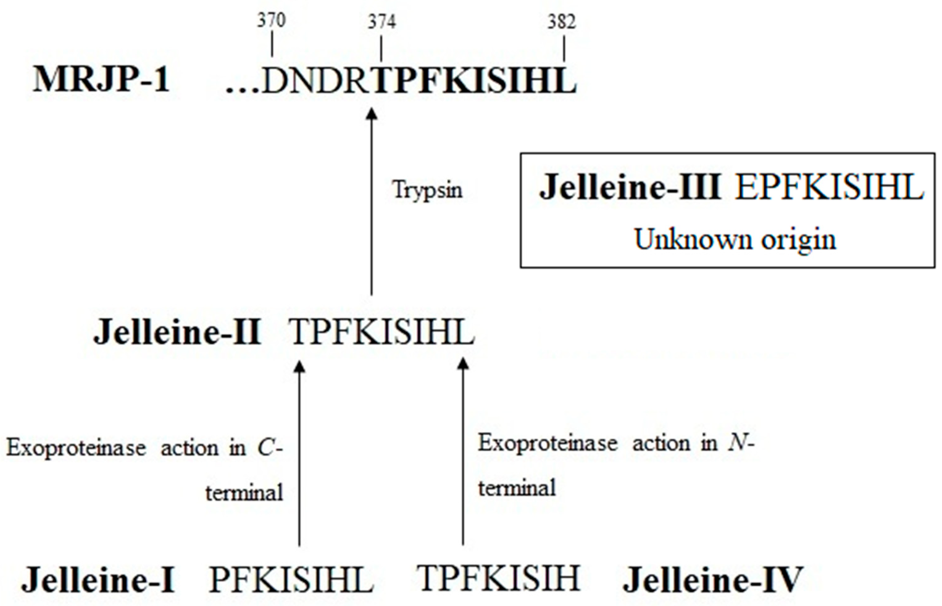 Toxins 16 00024 g001 Toxins 16 00024 g001
