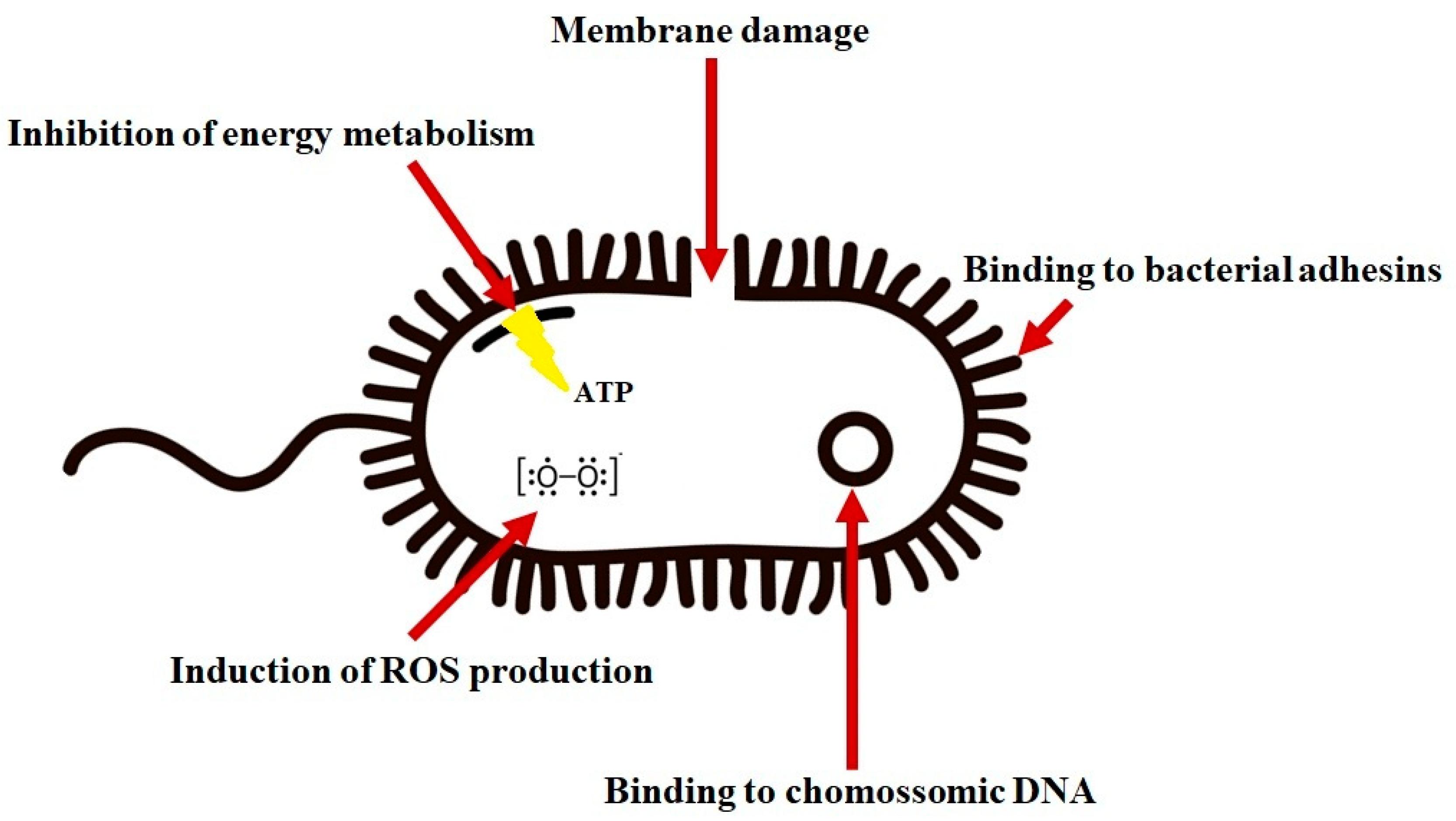 Toxins 16 00024 g003 Toxins 16 00024 g003