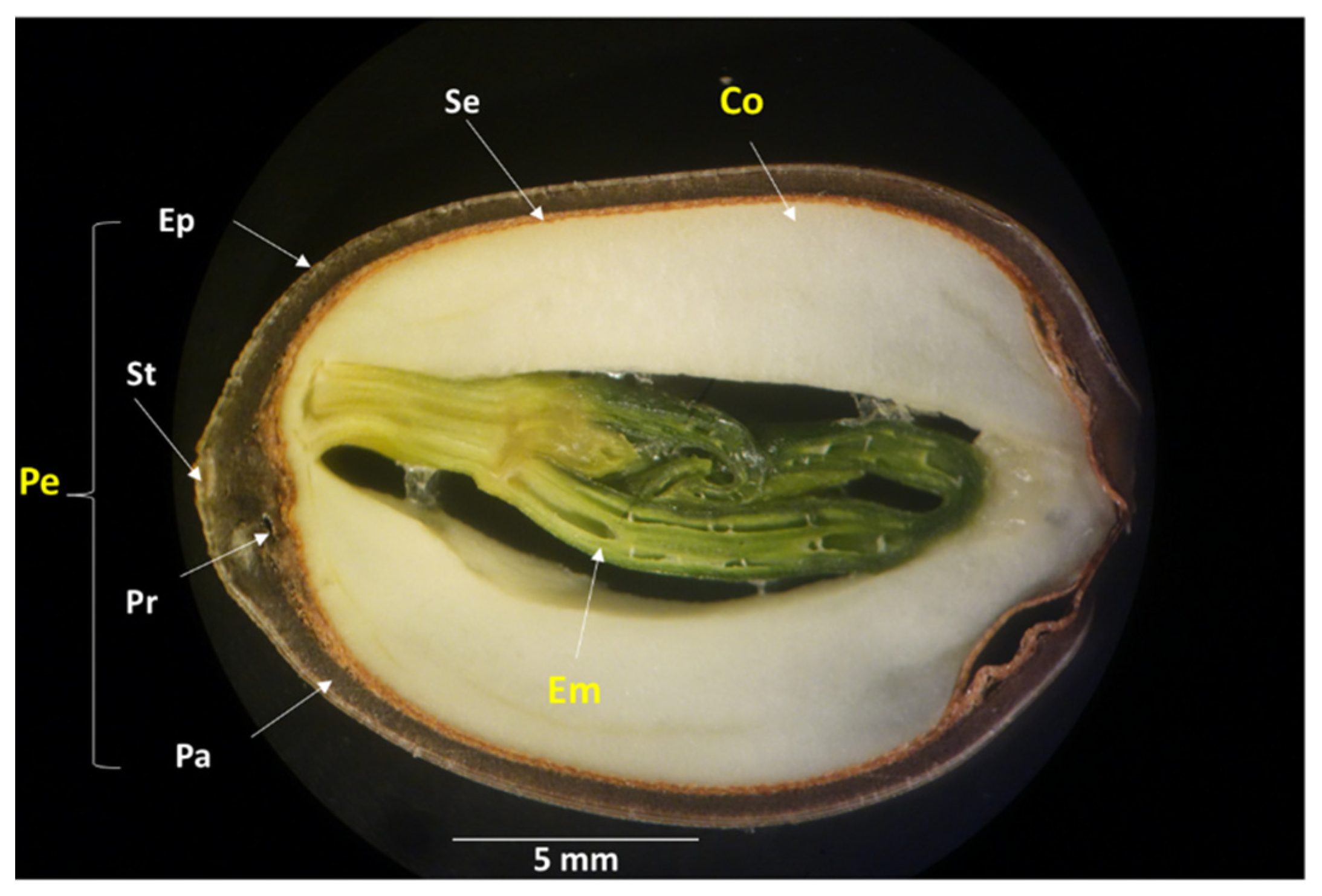 Toxins 16 00029 g003