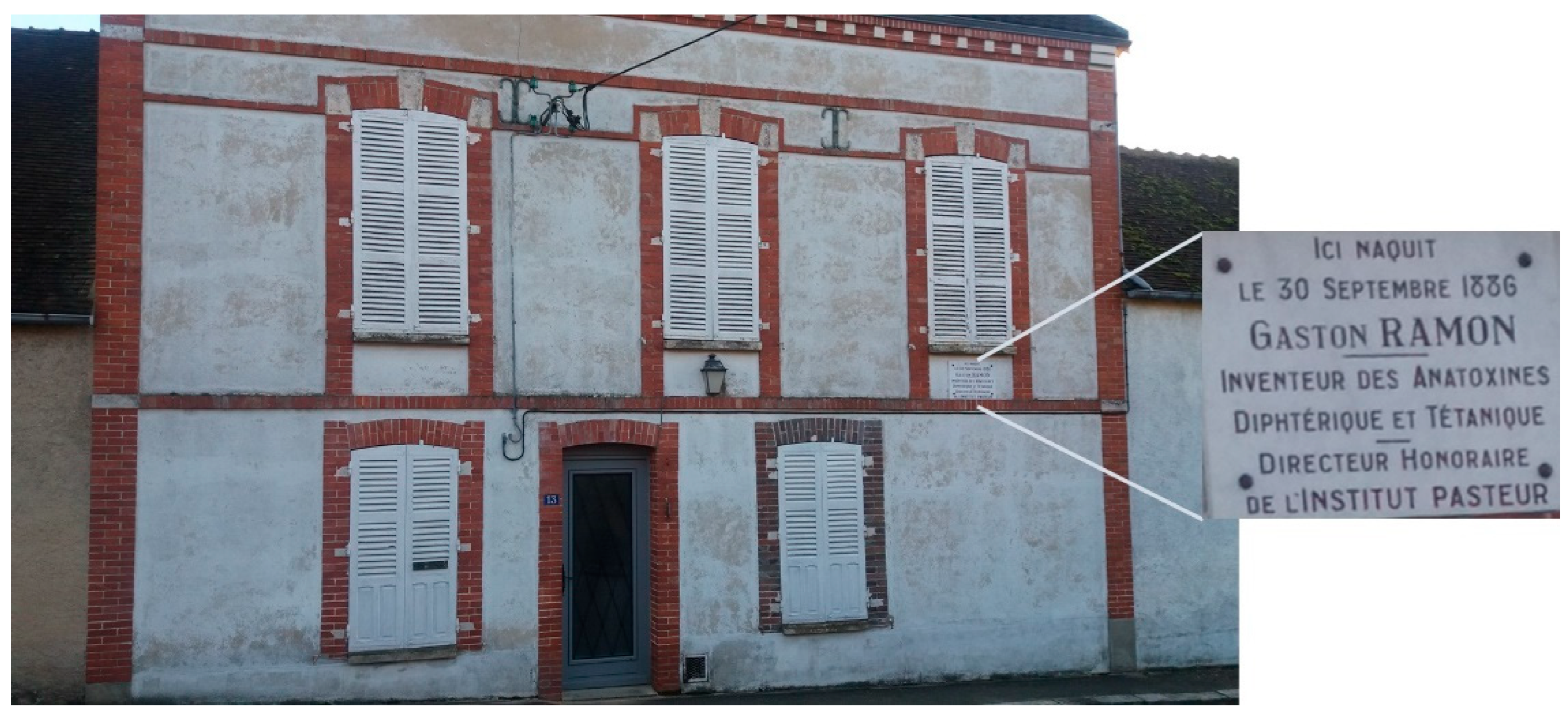 Toxins 16 00033 g001 Toxins 16 00033 g001