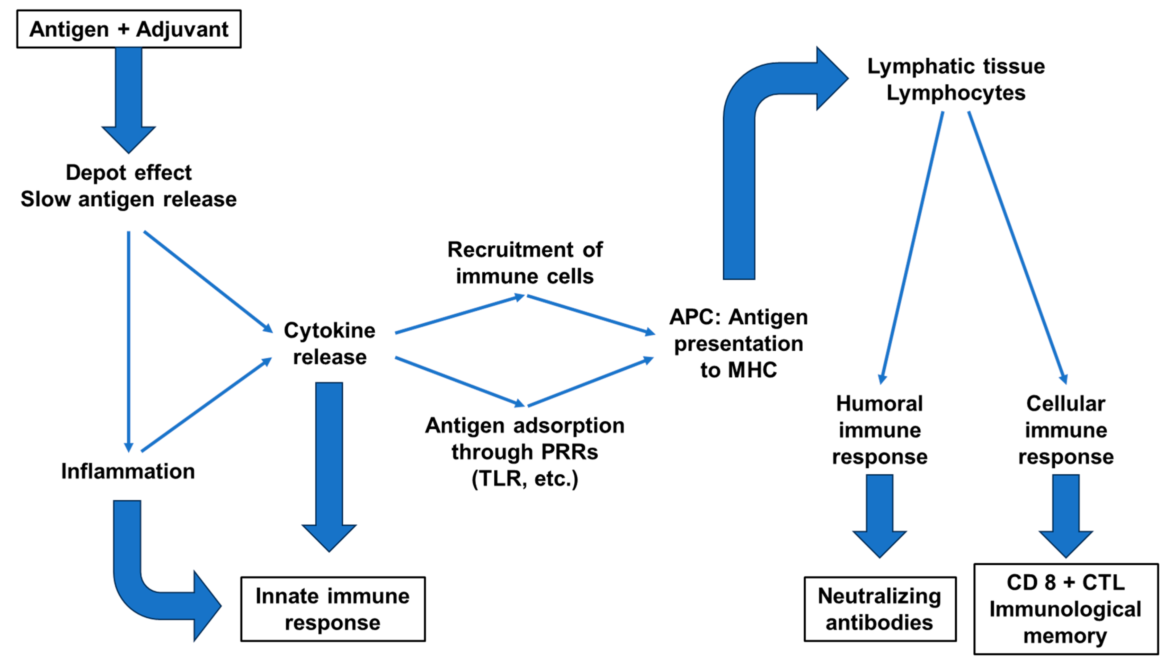 Toxins 16 00033 g003 Toxins 16 00033 g003
