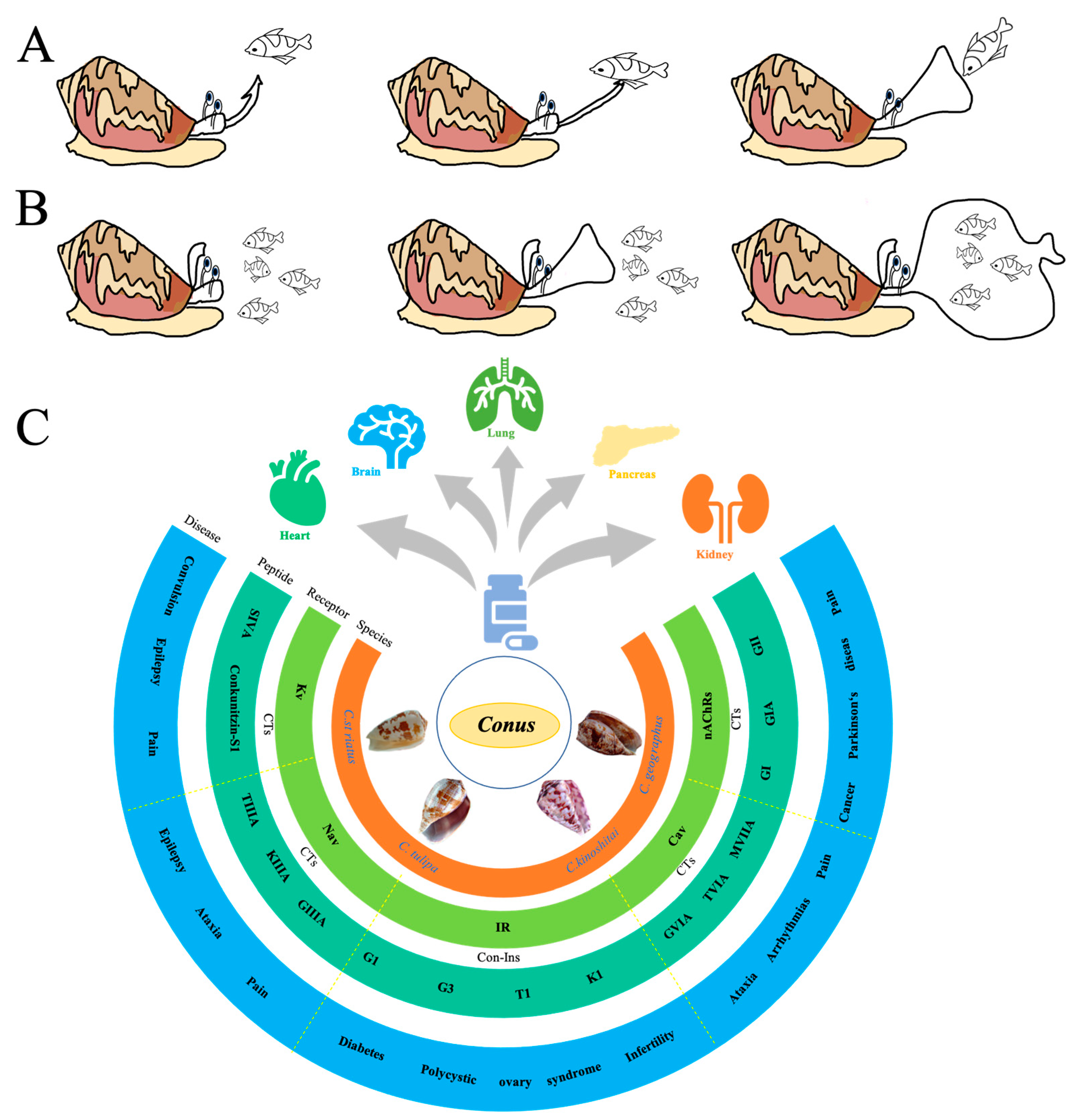 Toxins 16 00034 g002