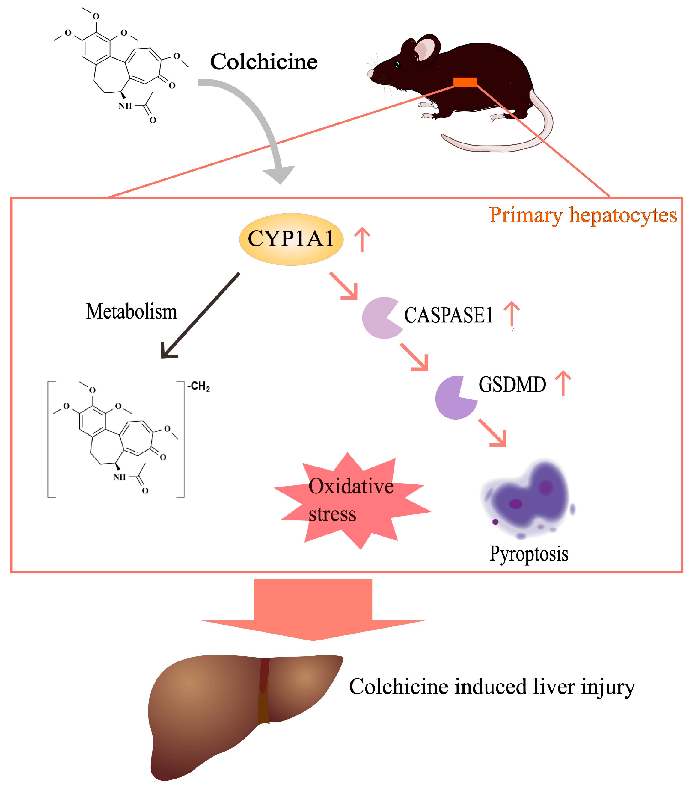 Toxins 16 00035 g008
