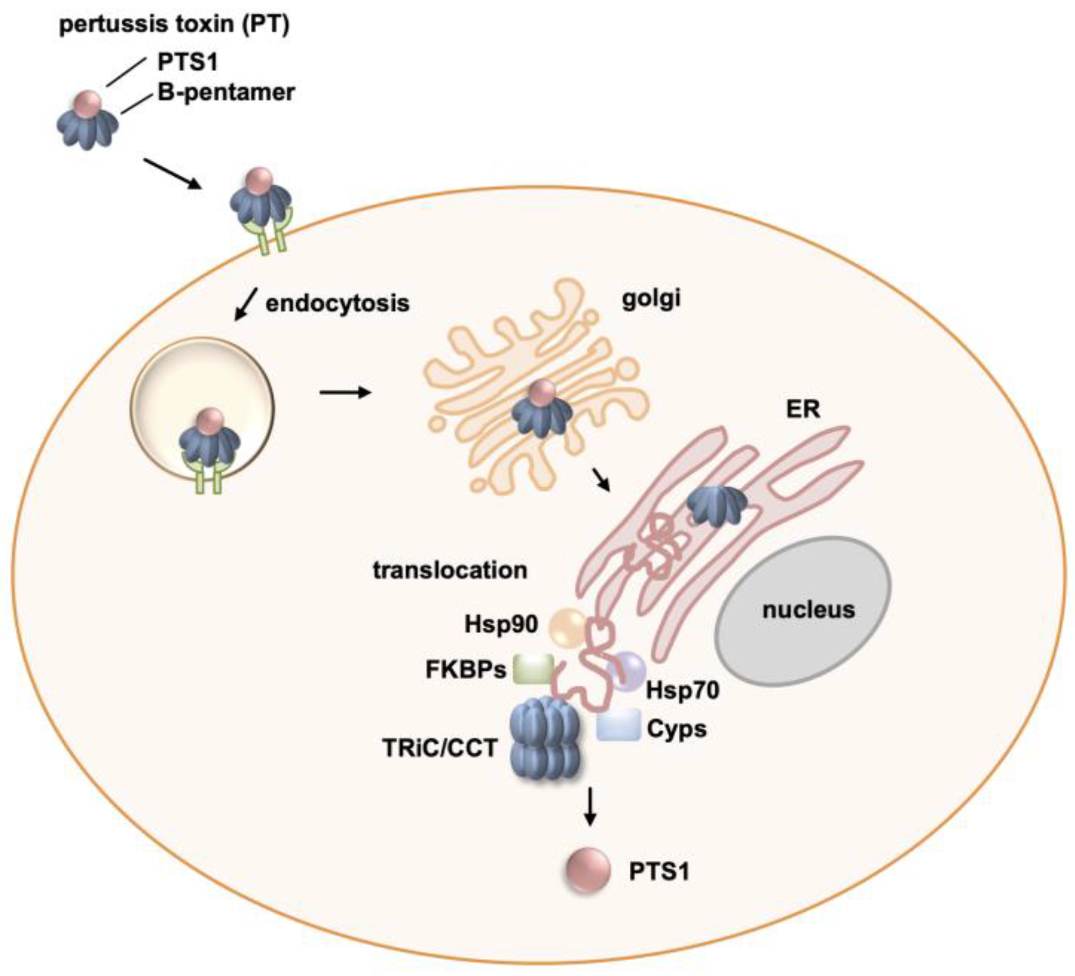 Toxins 16 00036 g006