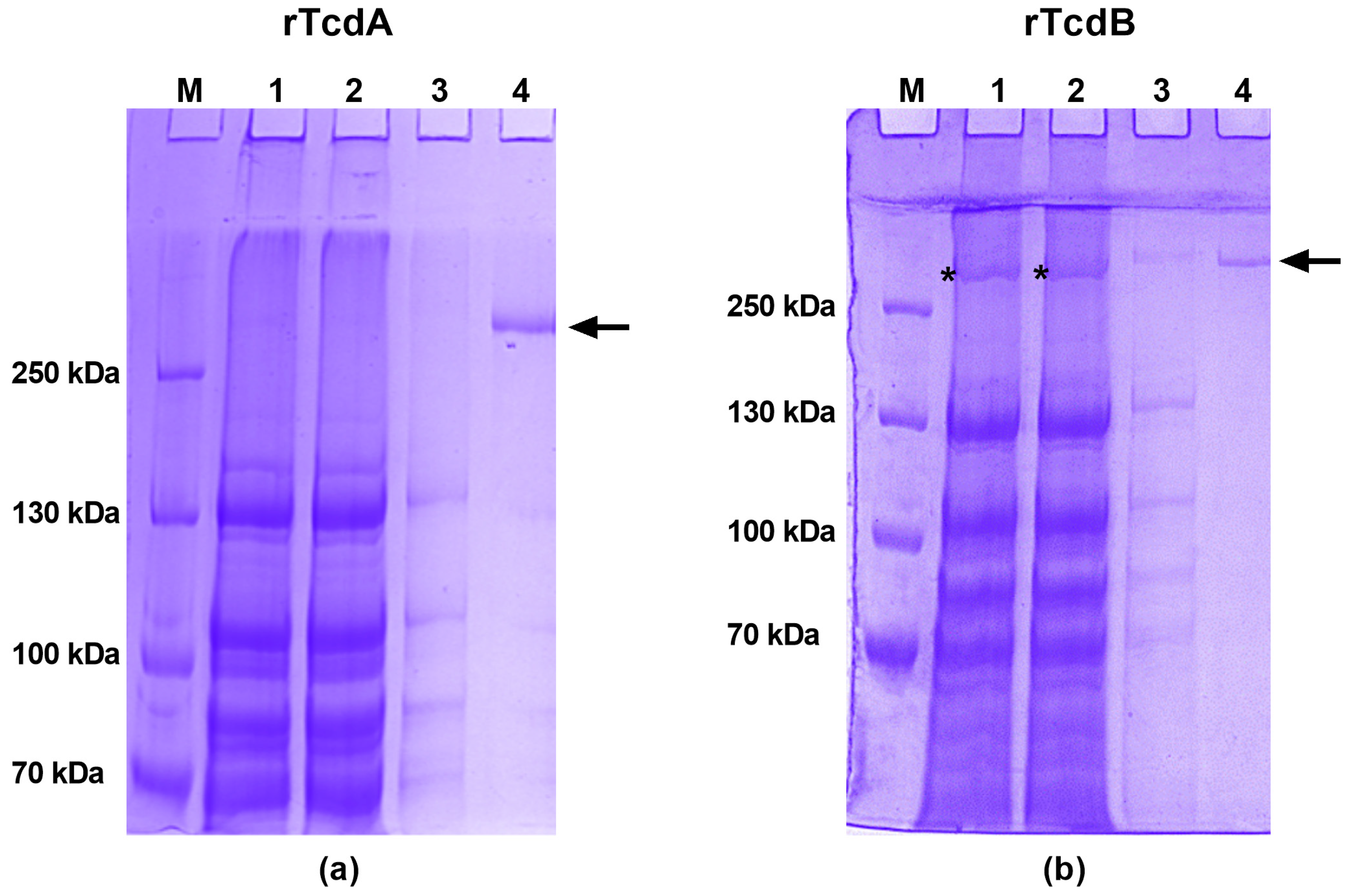 Toxins 16 00038 g002 Toxins 16 00038 g002
