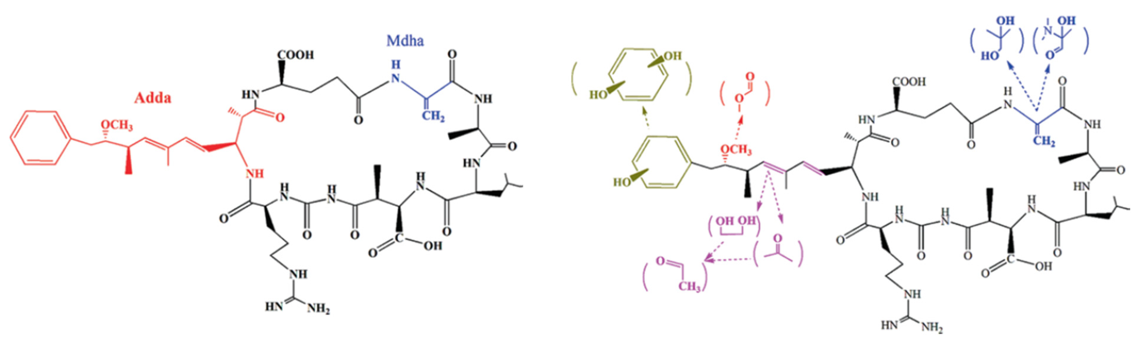 Toxins 16 00041 g001