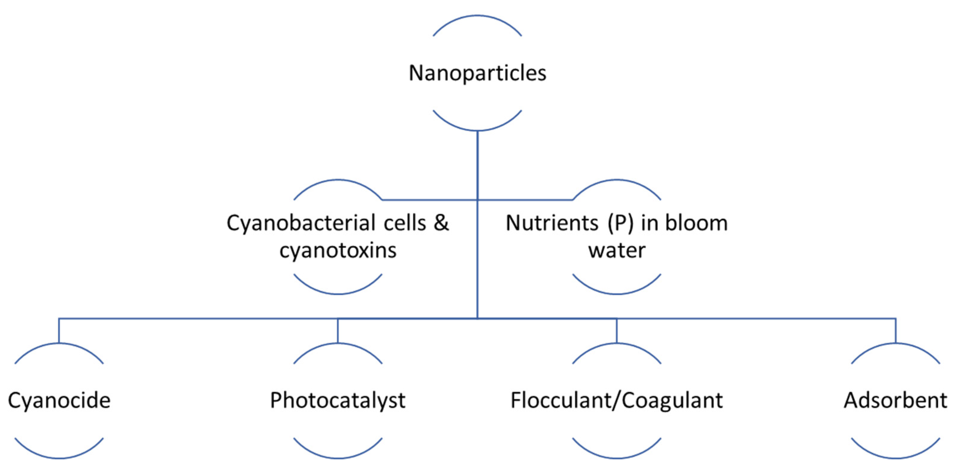 Toxins 16 00041 g002