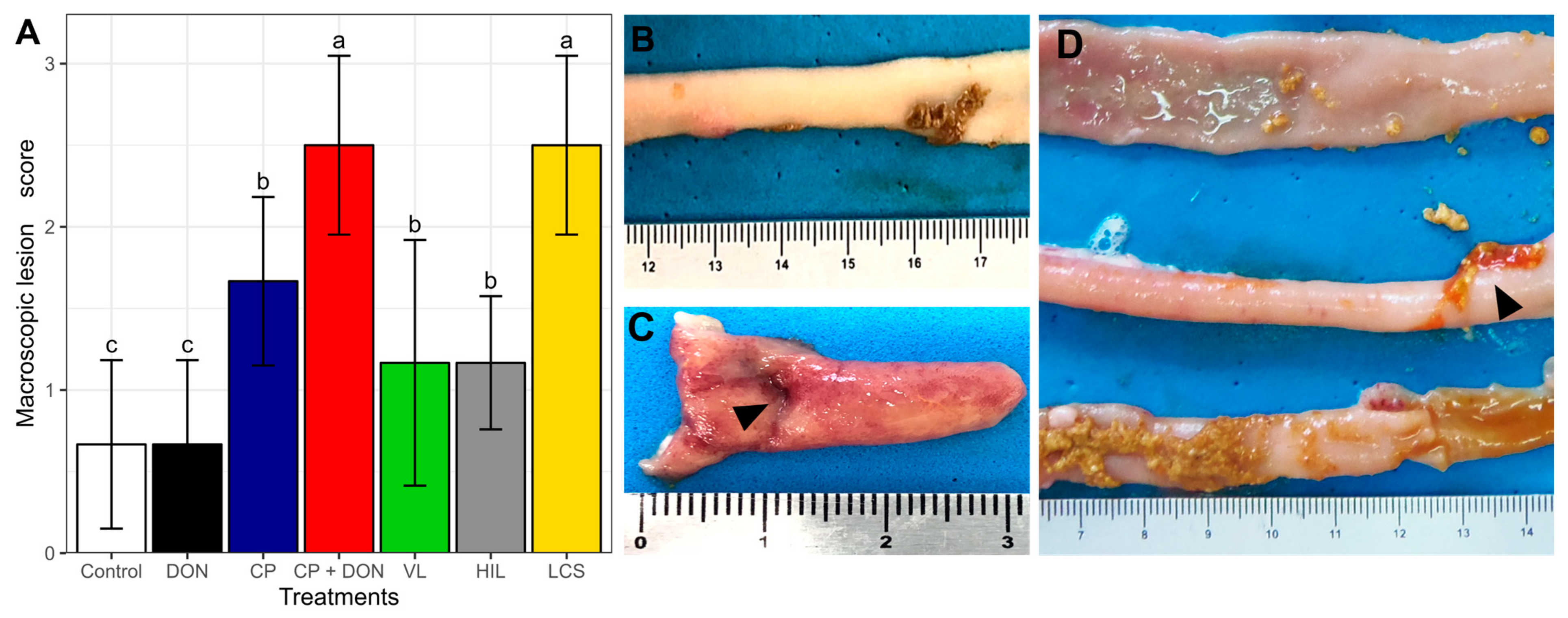 Toxins 16 00046 g001