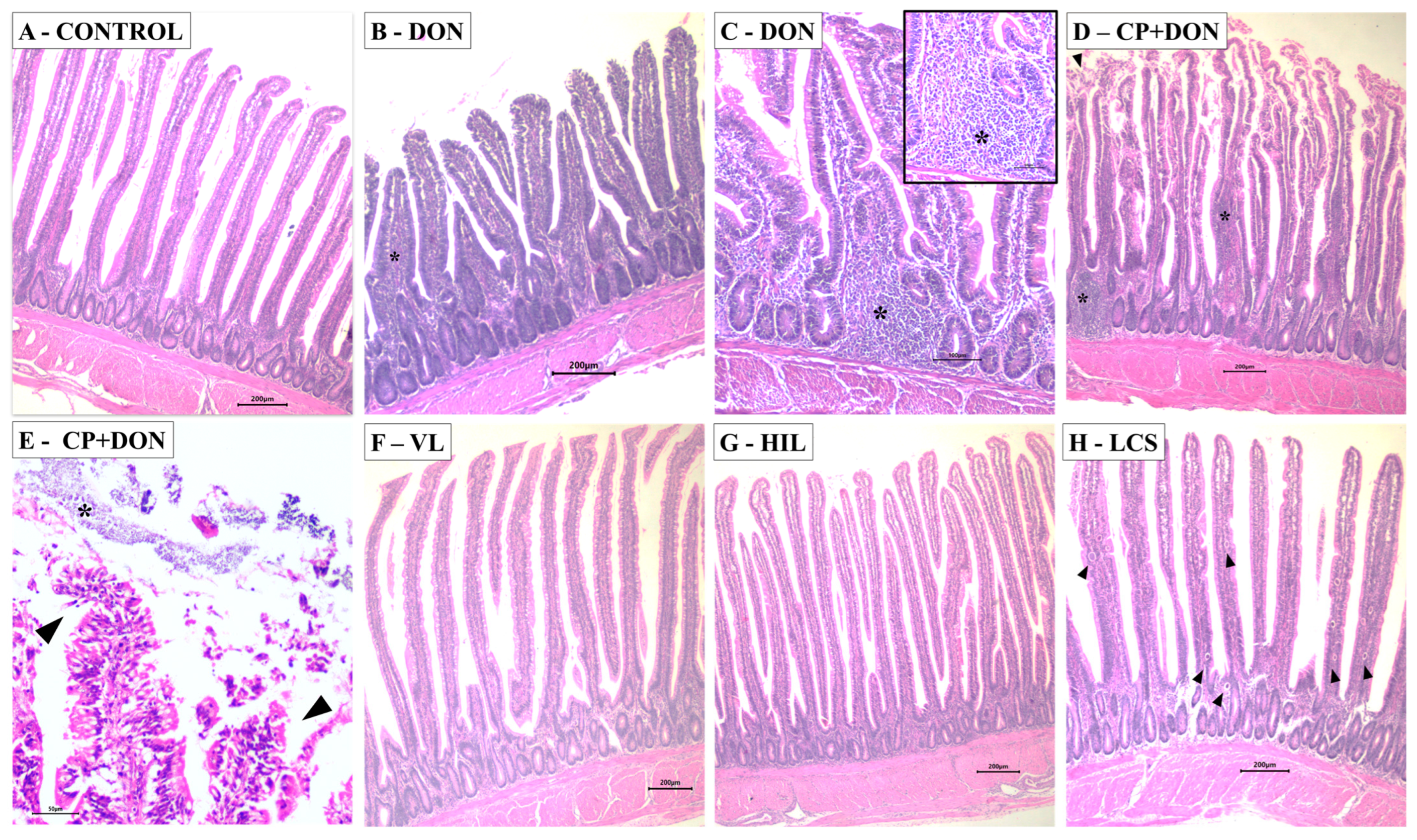 Toxins 16 00046 g002