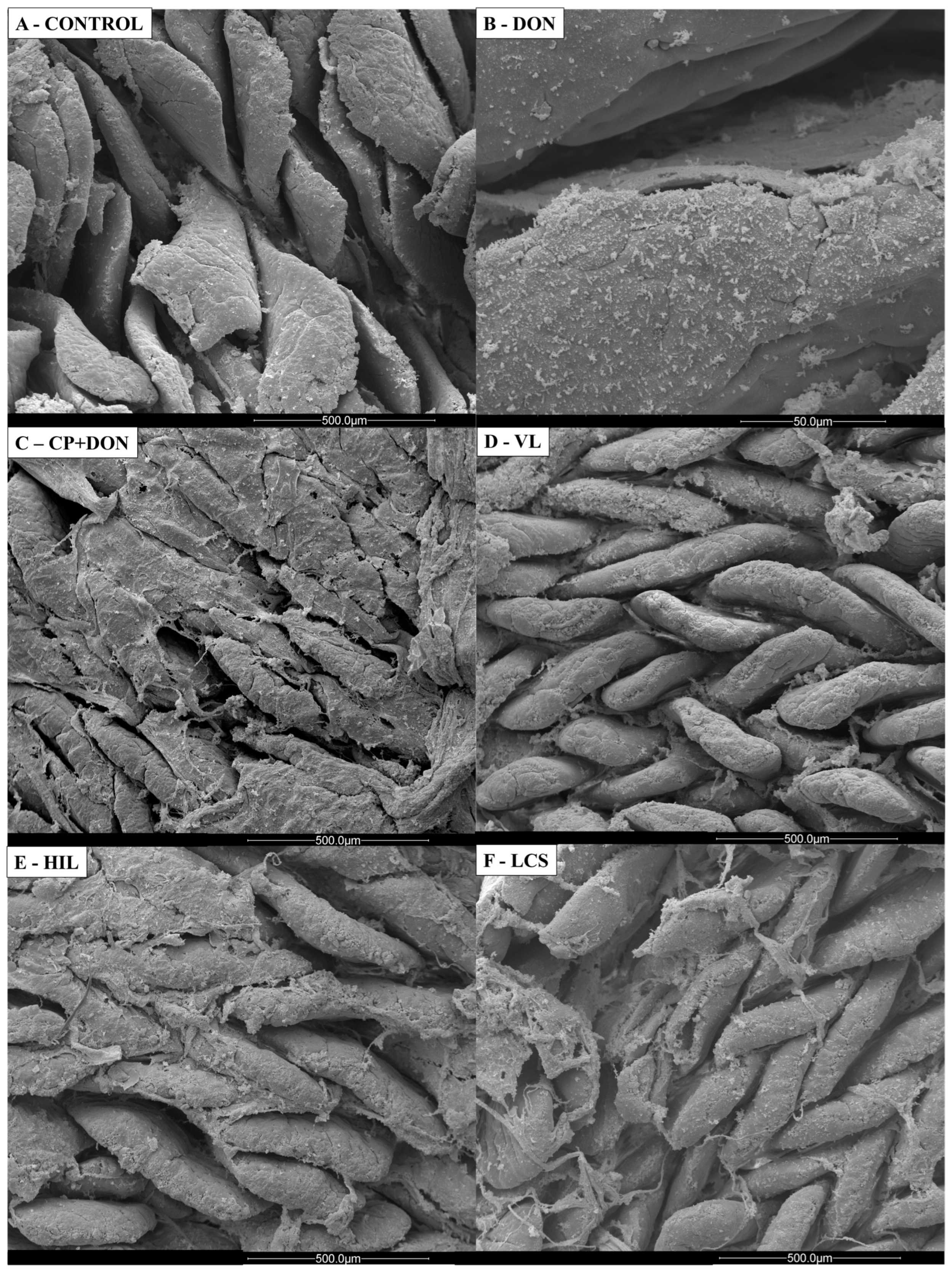 Toxins 16 00046 g003