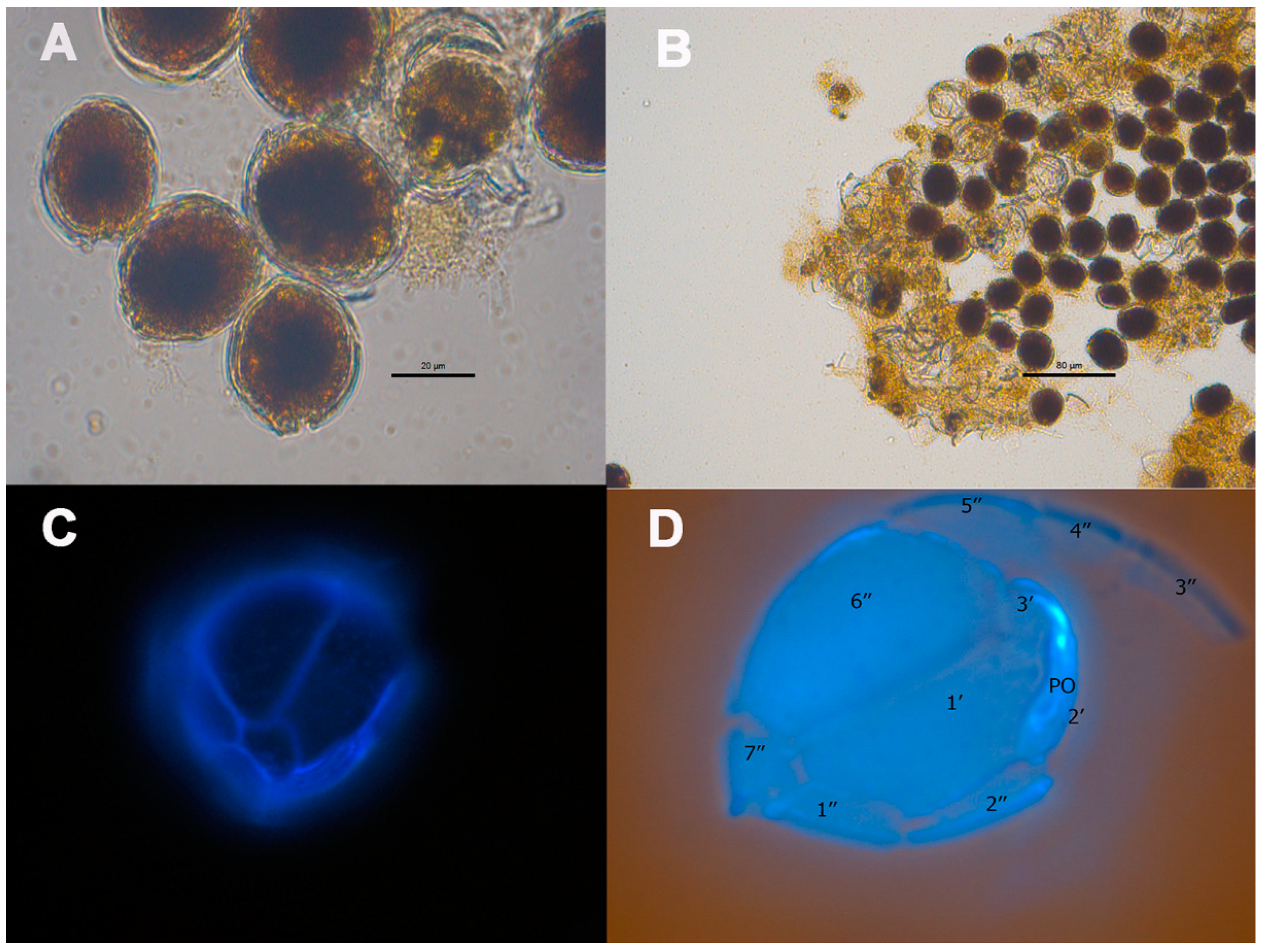 Toxins 16 00049 g003