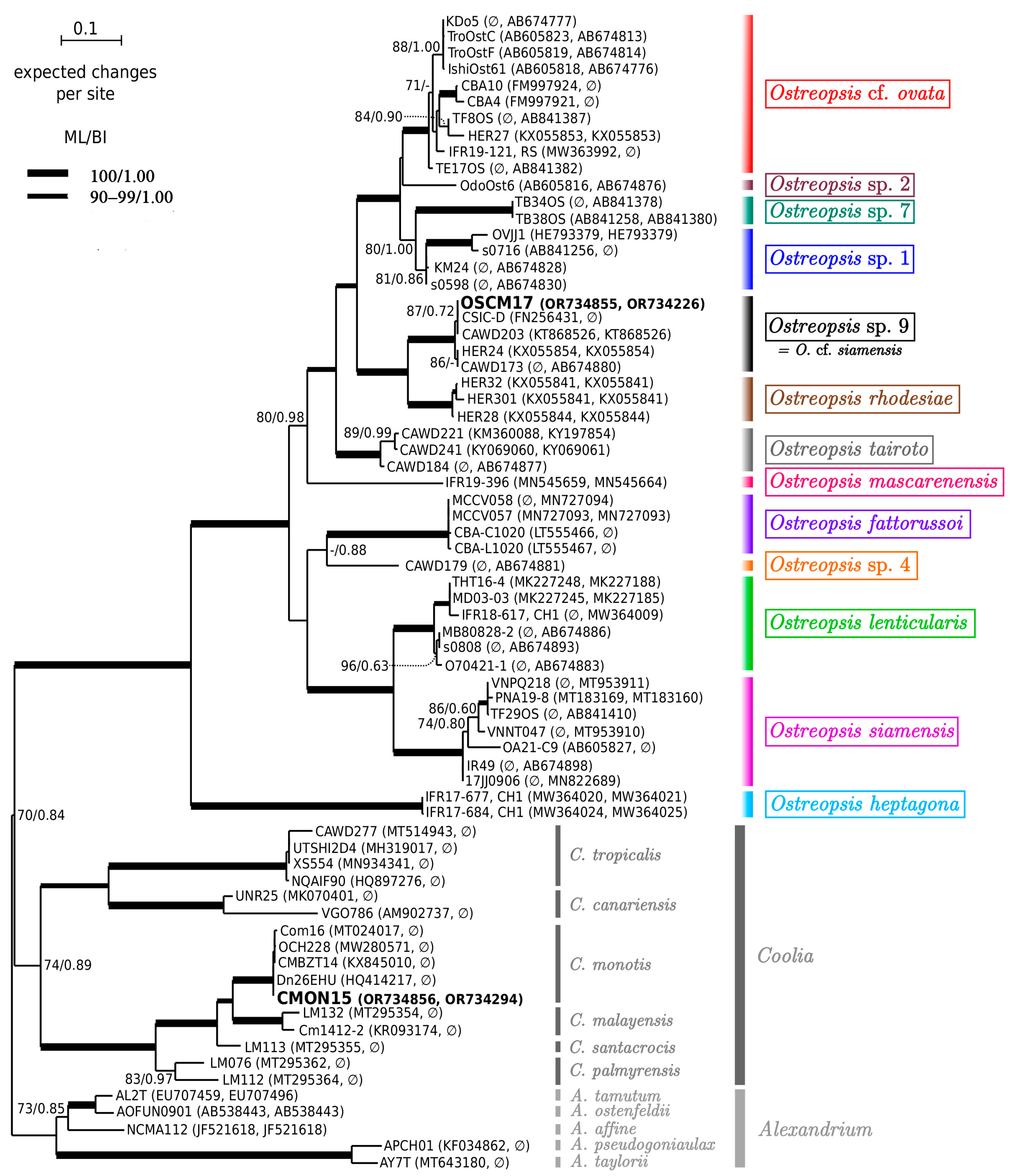 Toxins 16 00049 g004