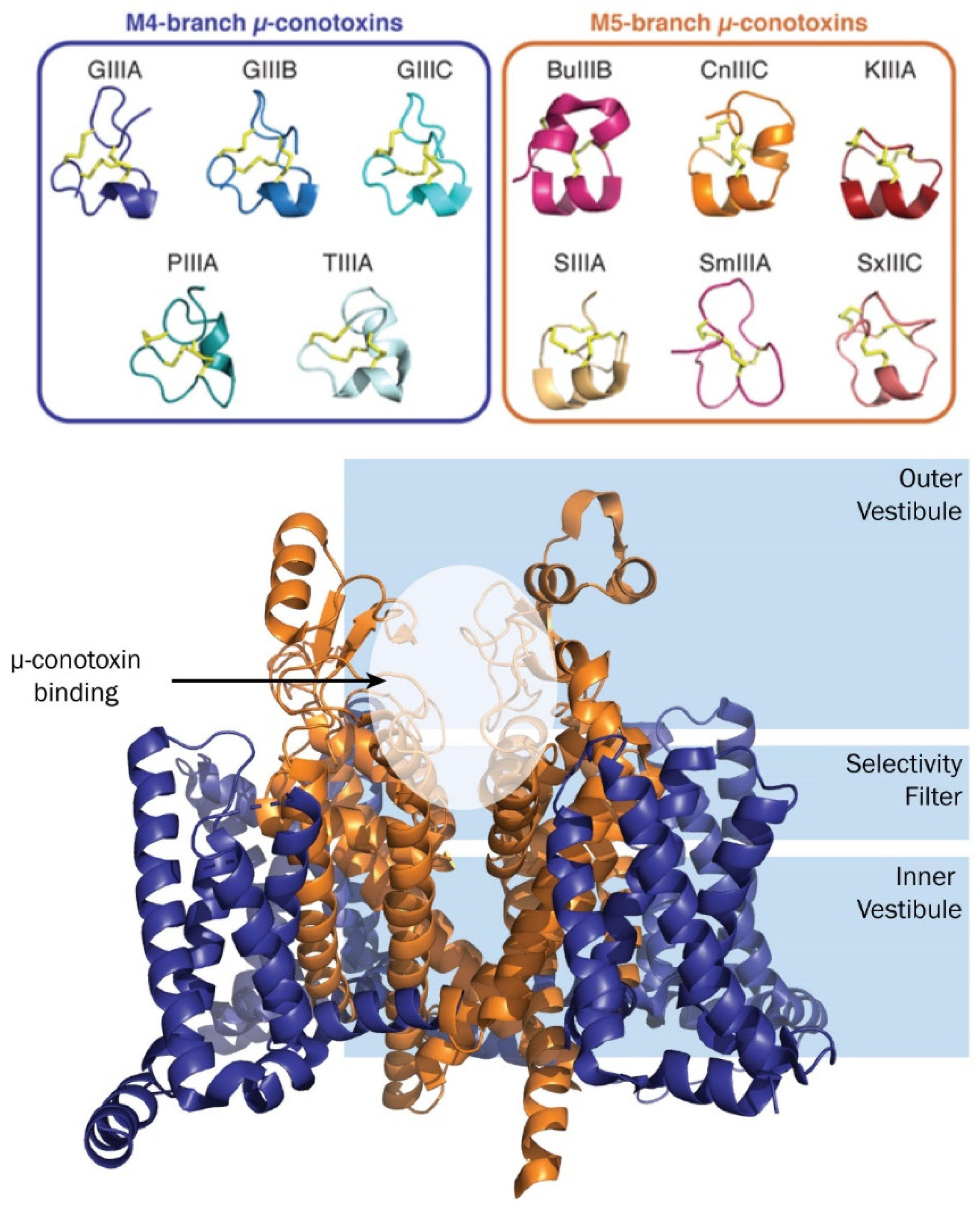 Toxins 16 00055 g002