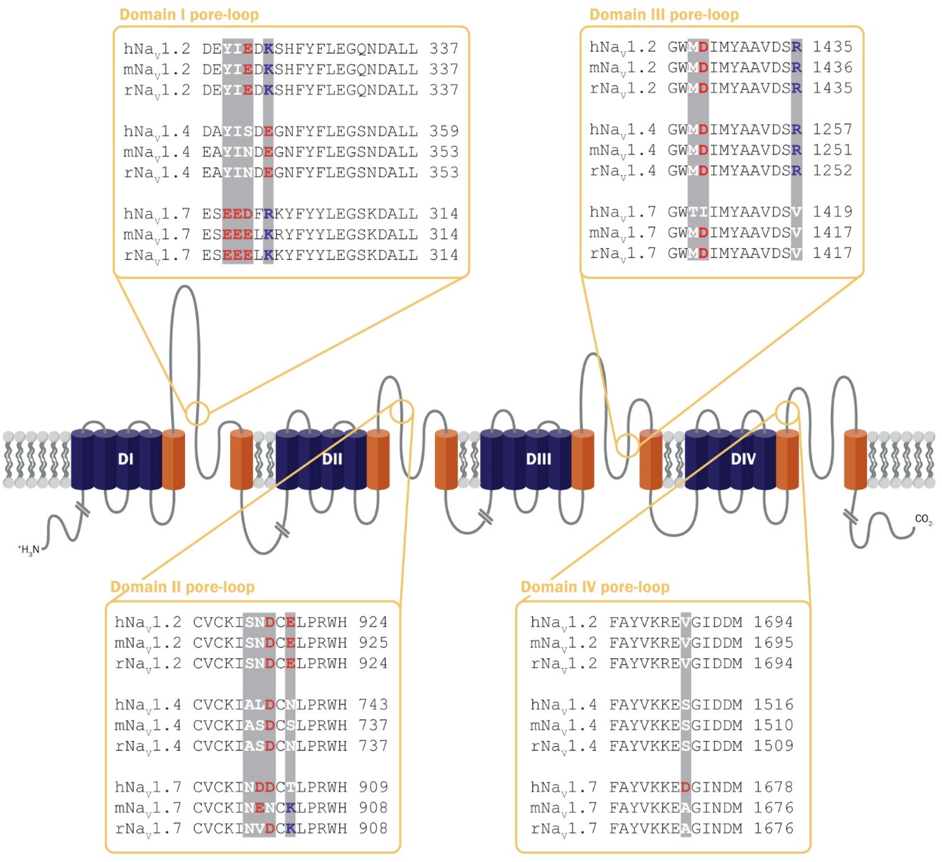 Toxins 16 00055 g004