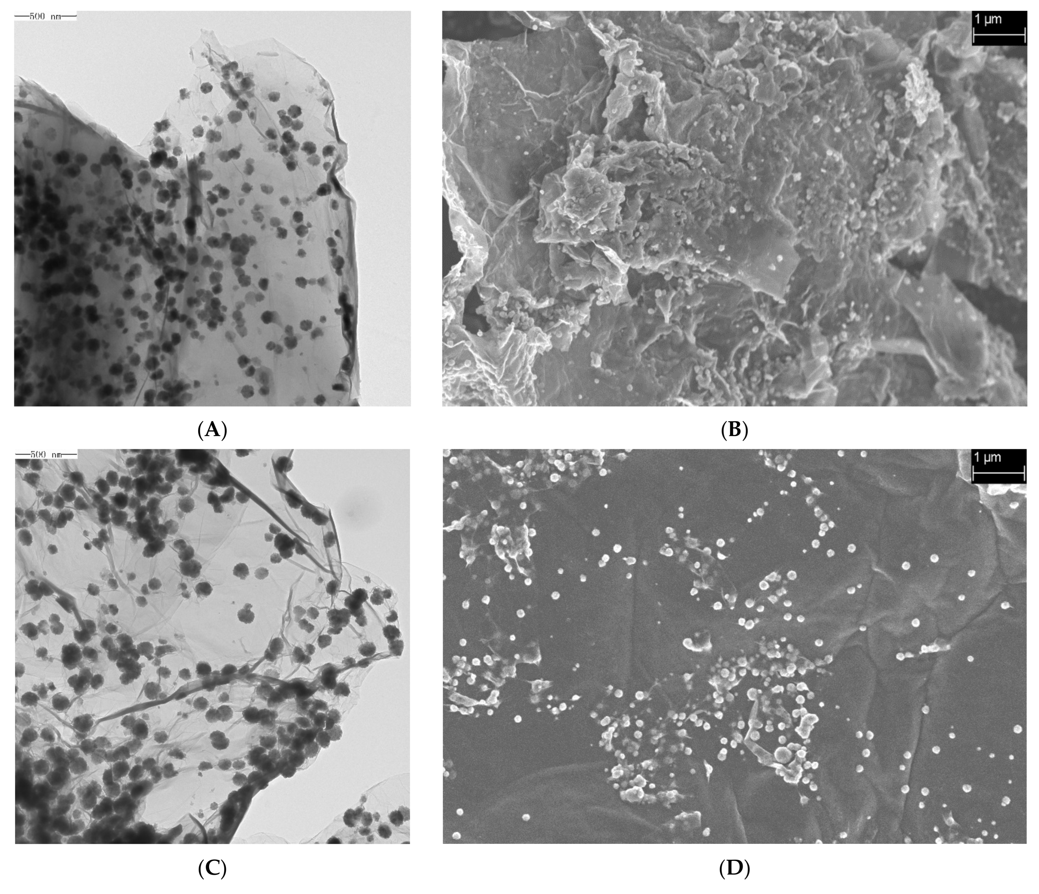 Toxins 16 00057 g001a