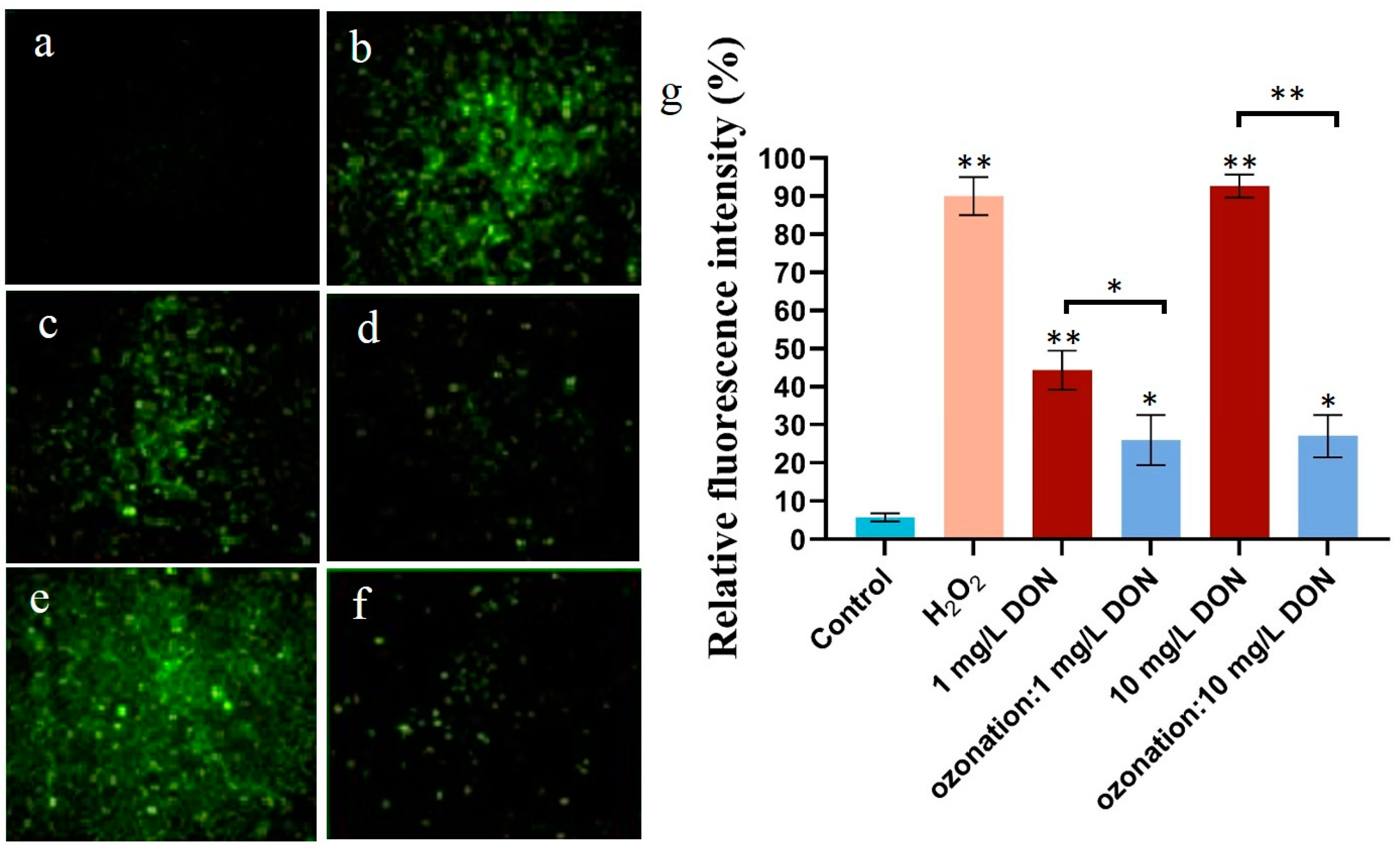 Toxins 16 00064 g002