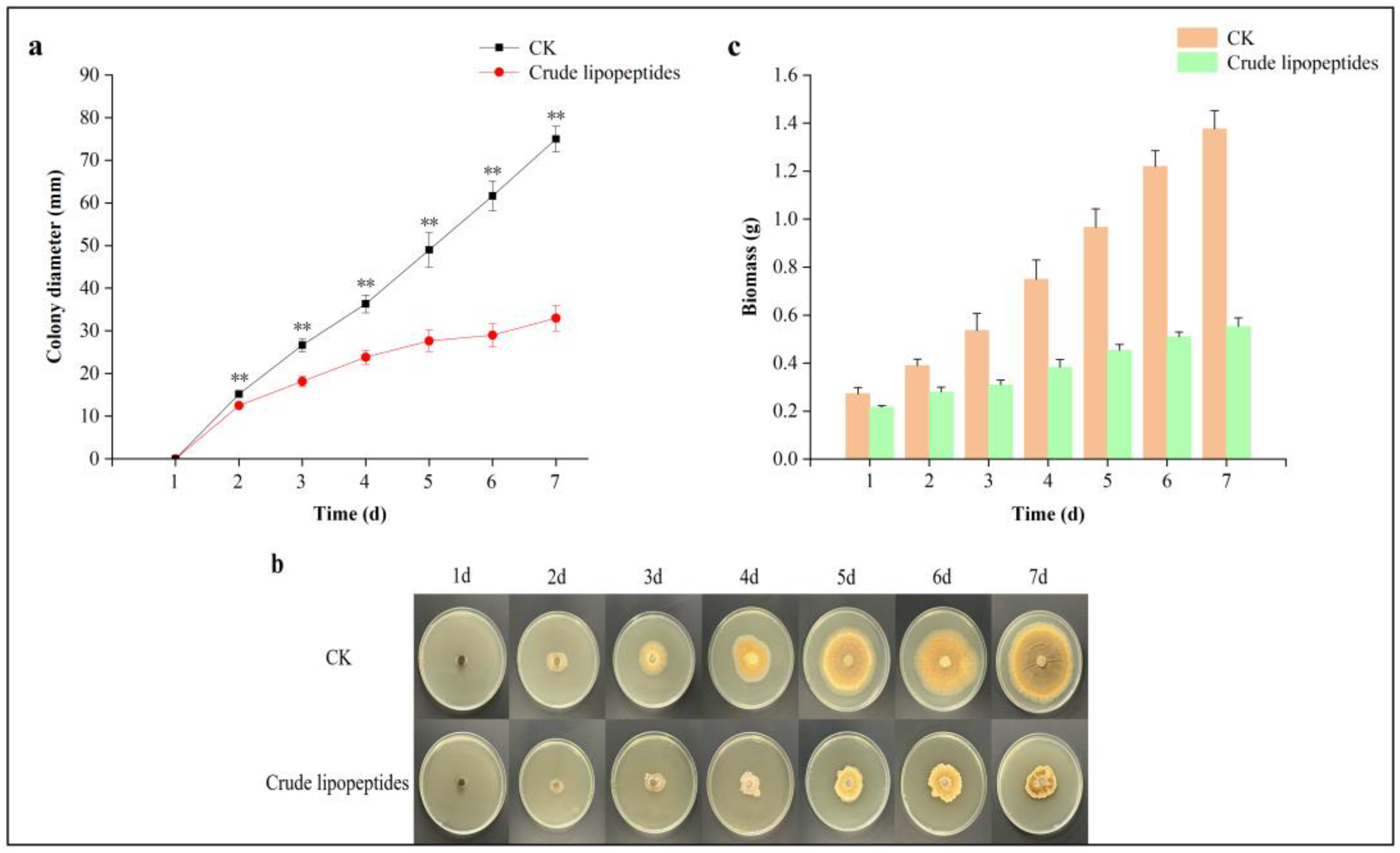 Toxins 16 00065 g001