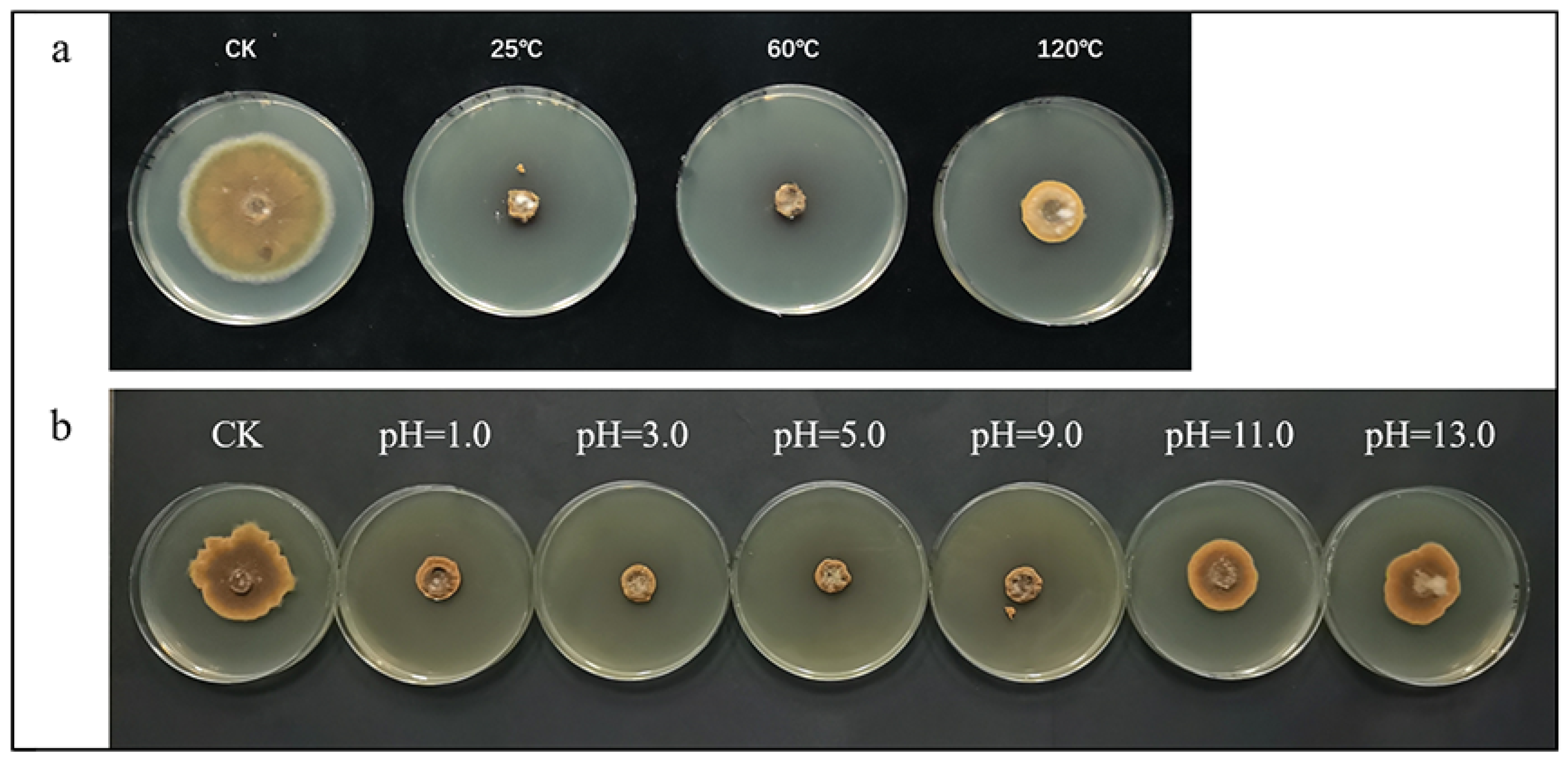 Toxins 16 00065 g002