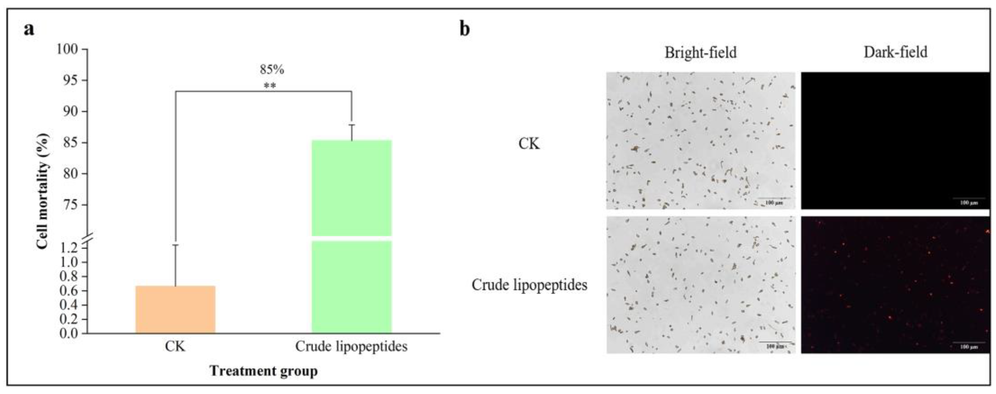 Toxins 16 00065 g004