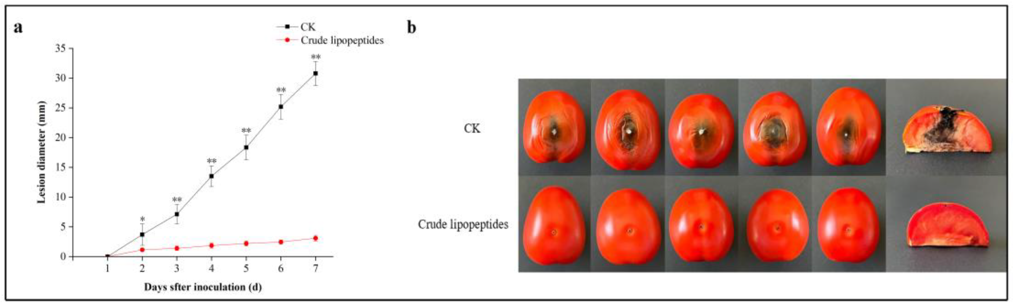 Toxins 16 00065 g008