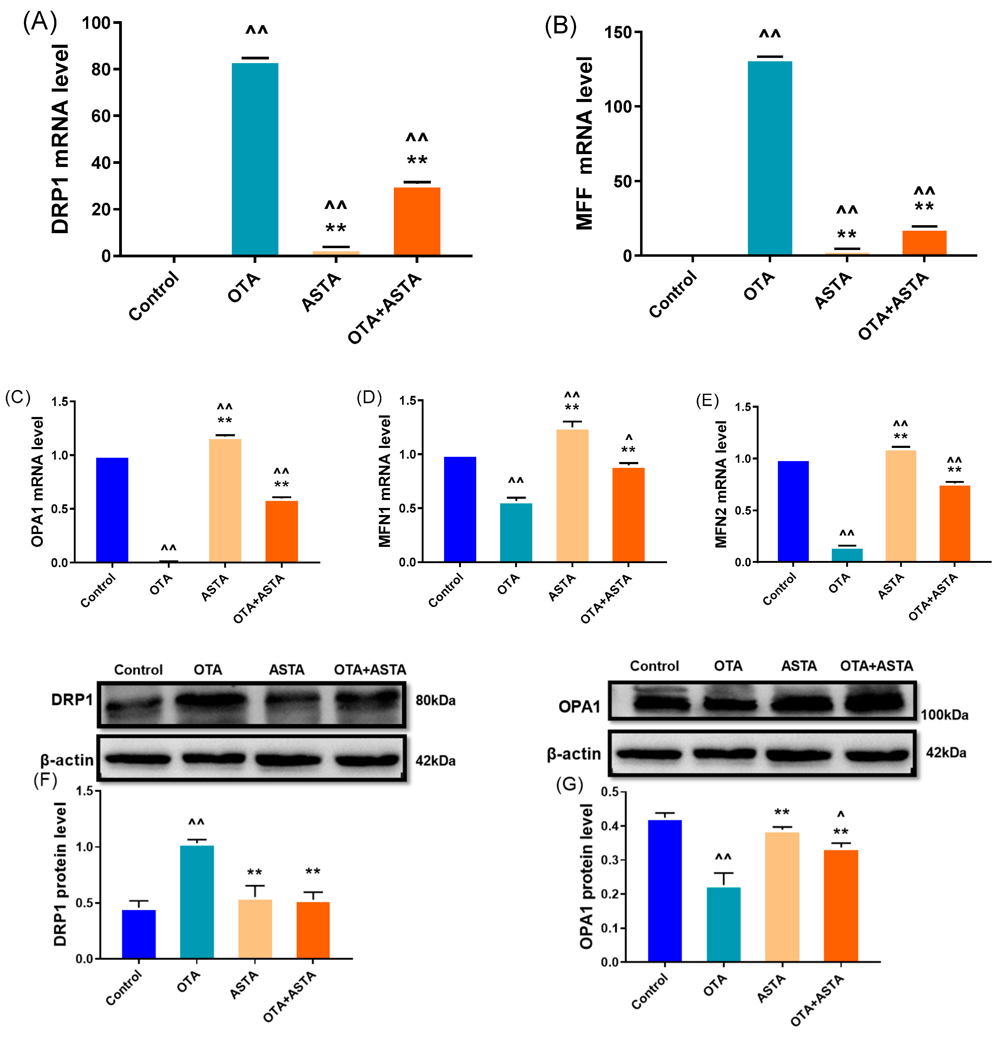 Toxins 16 00068 g005a